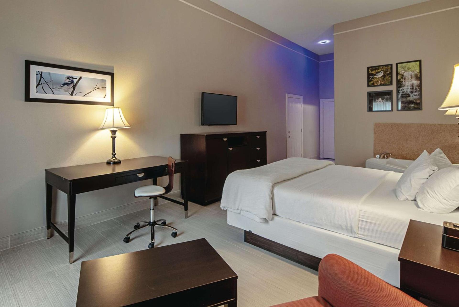 La Quinta by Wyndham Alamo-McAllen East photo 54