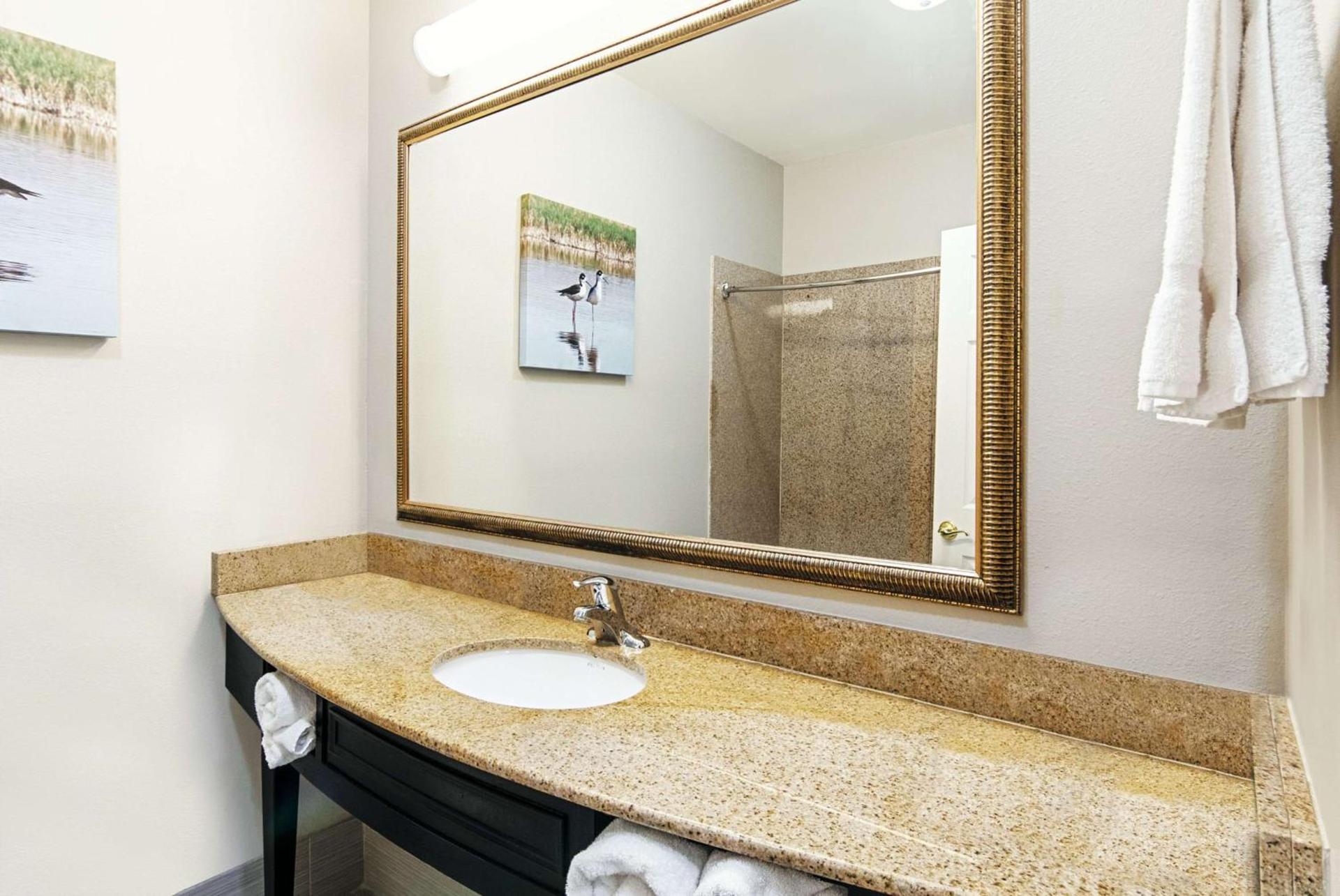 La Quinta by Wyndham Alamo-McAllen East photo 49