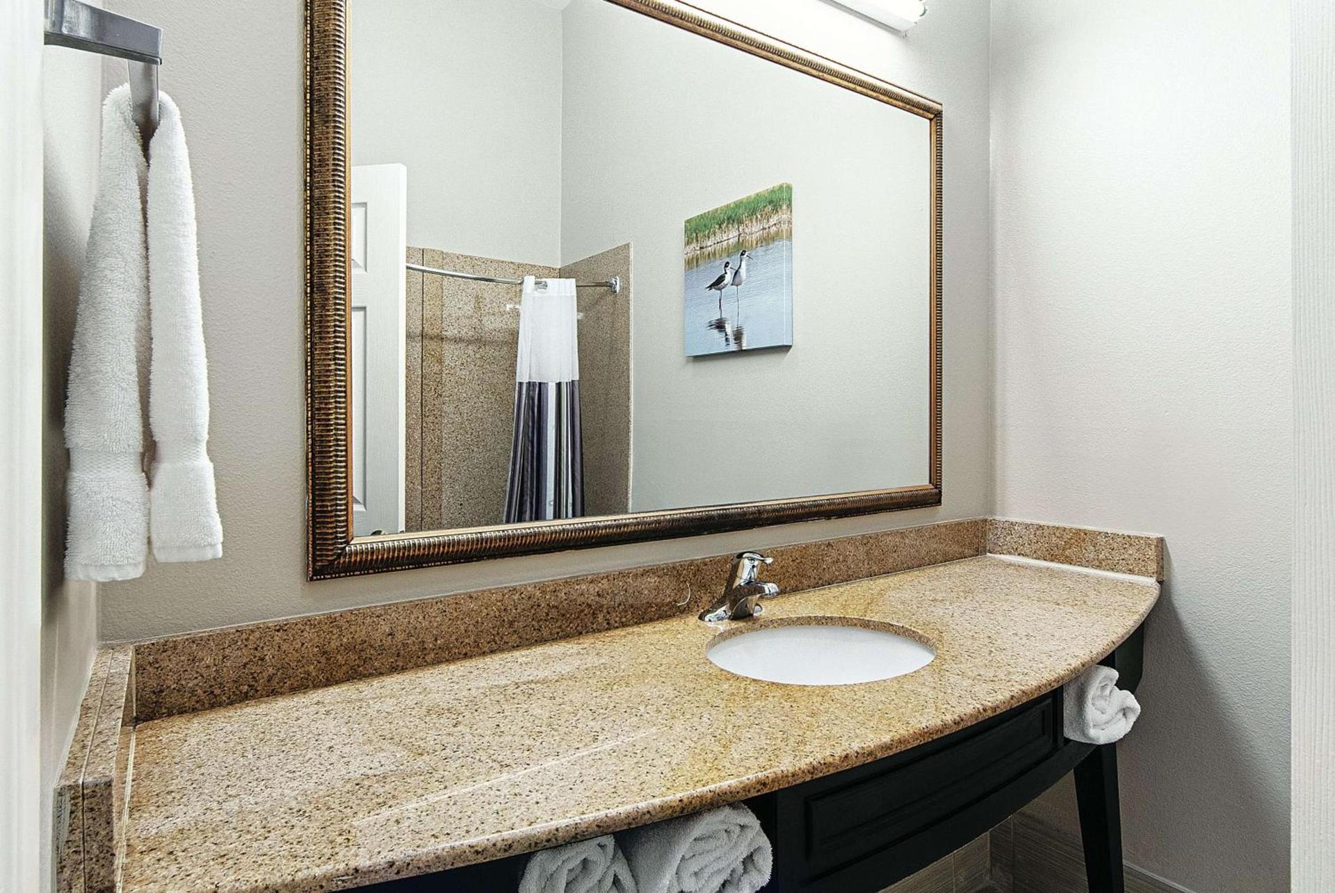 La Quinta by Wyndham Alamo-McAllen East photo 42