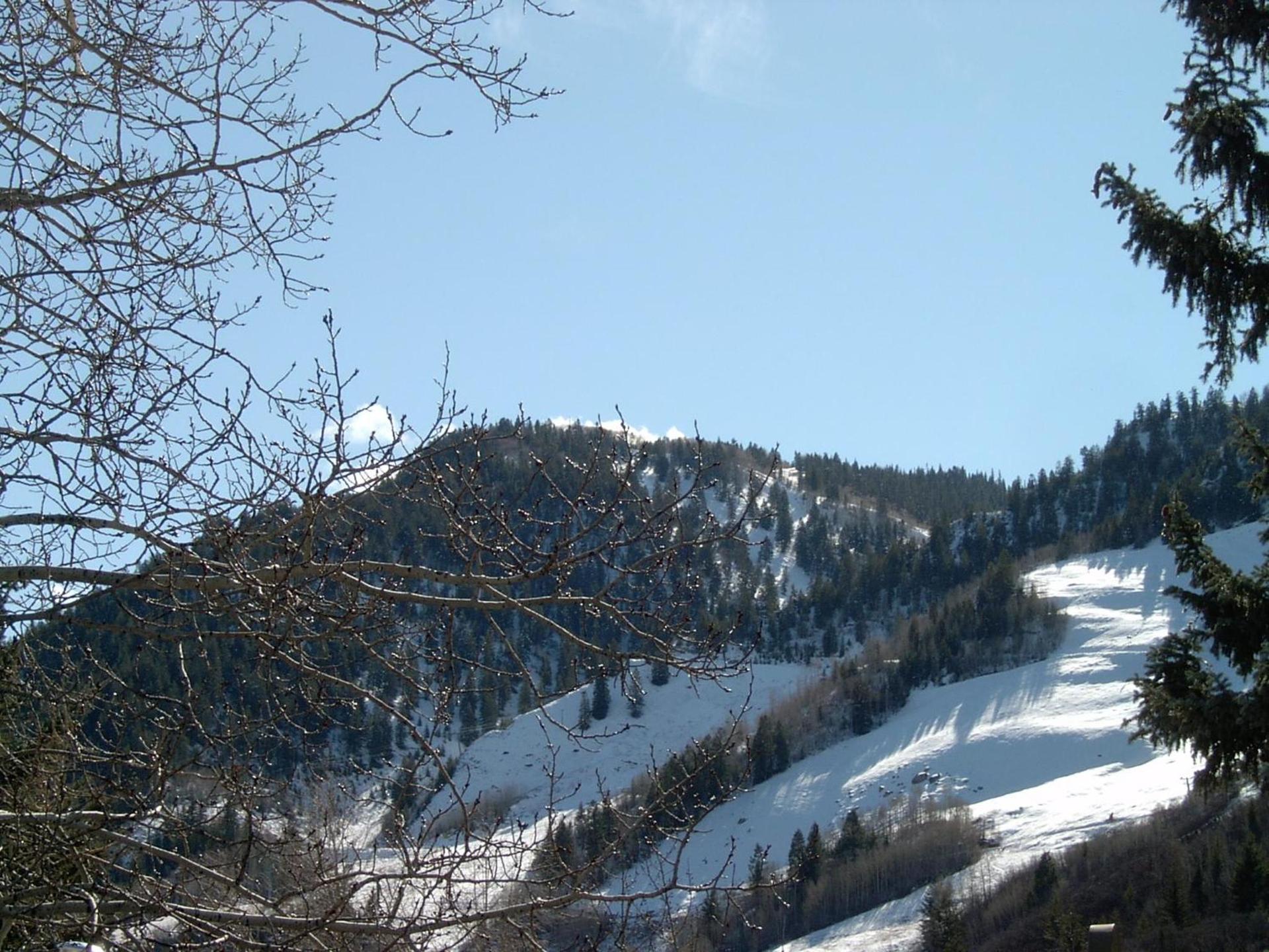 St Moritz Lodge and Condominiums photo 68