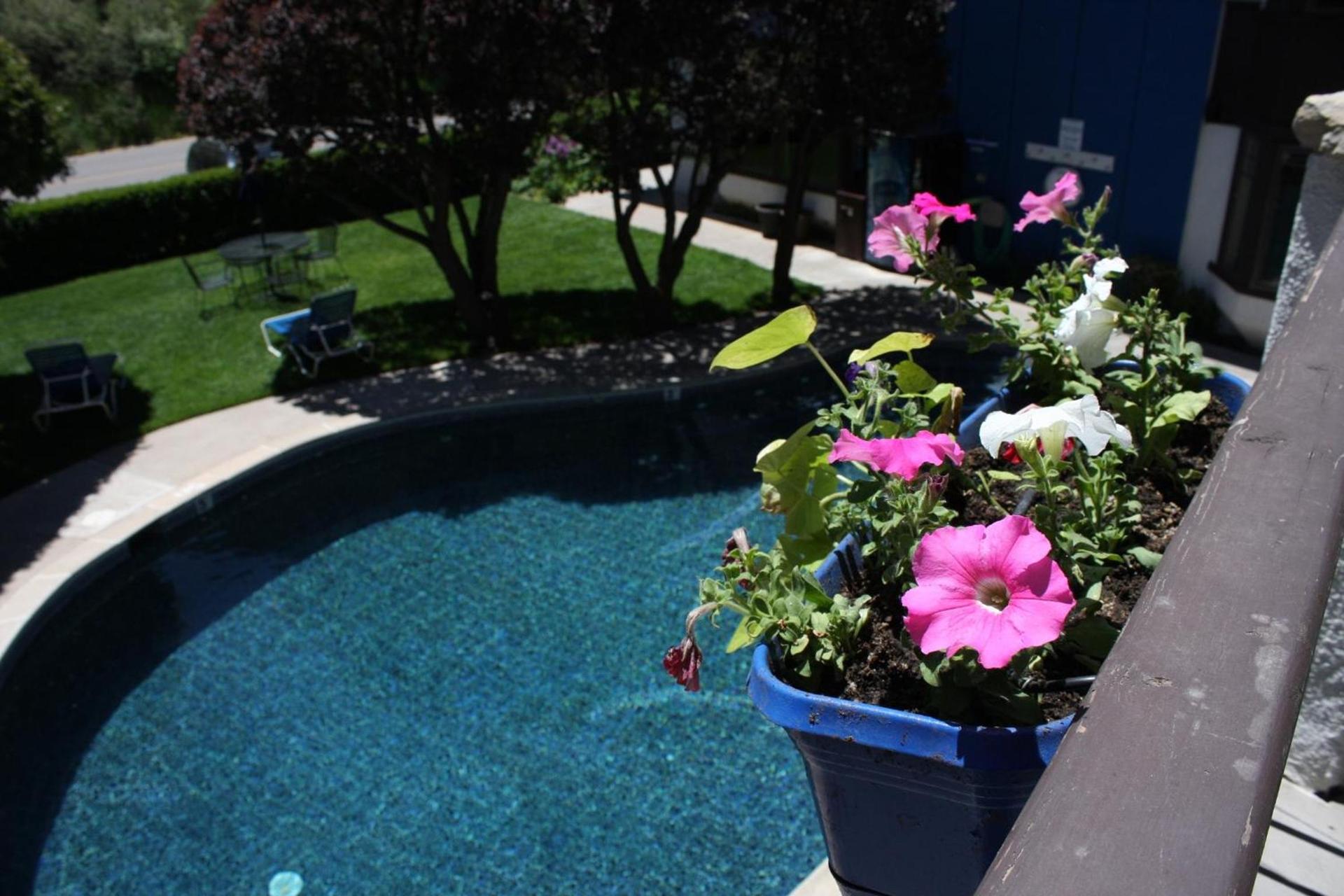 St Moritz Lodge and Condominiums photo 63