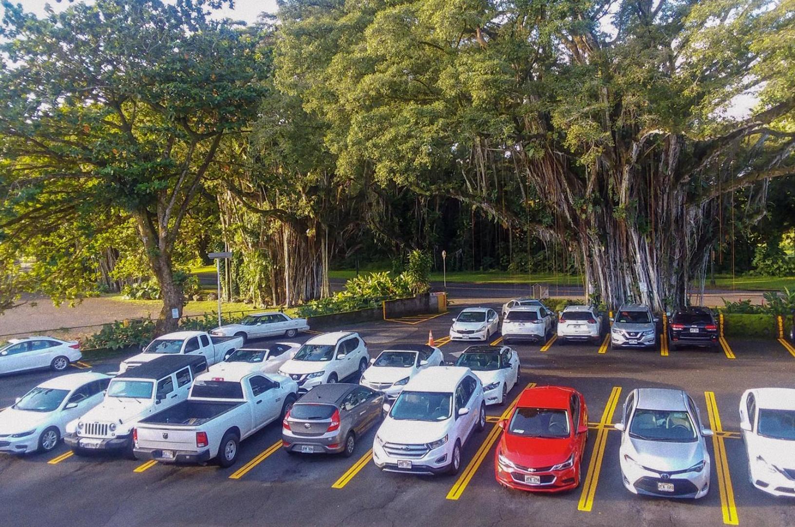 Hilo Reeds Bay Hotel photo 8