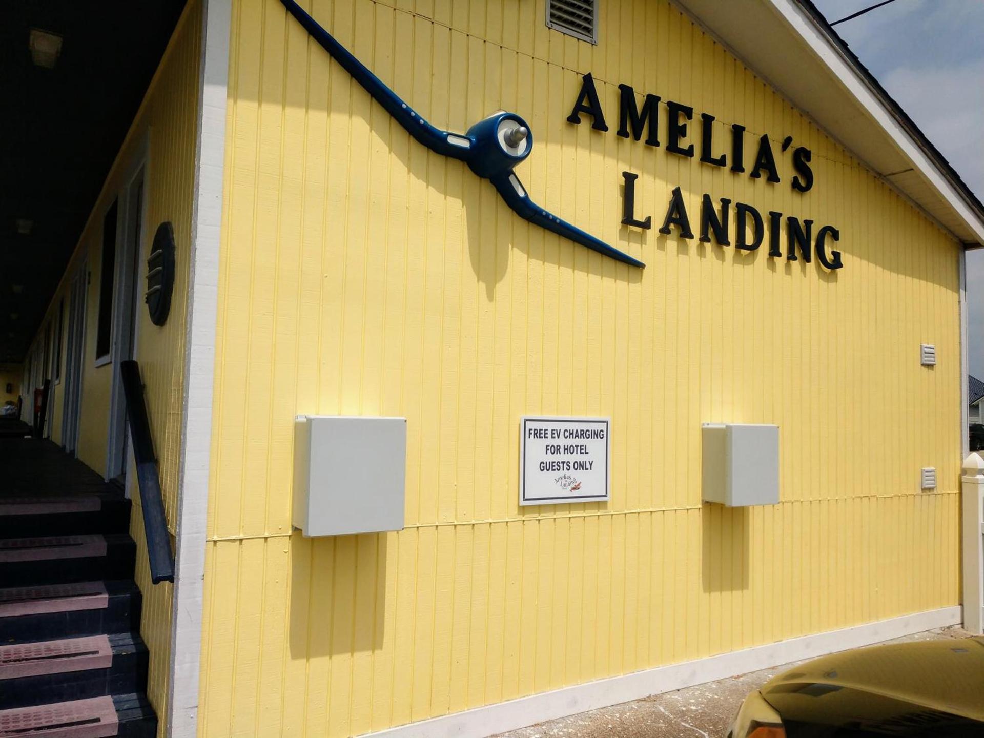 Amelia's Landing photo 7