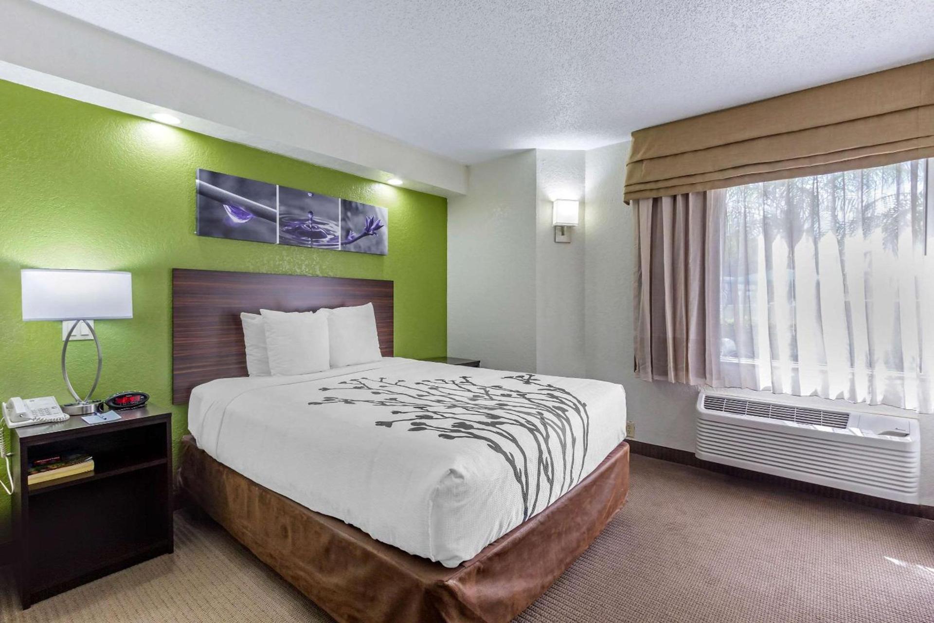 Sleep Inn near Busch Gardens - USF photo 11