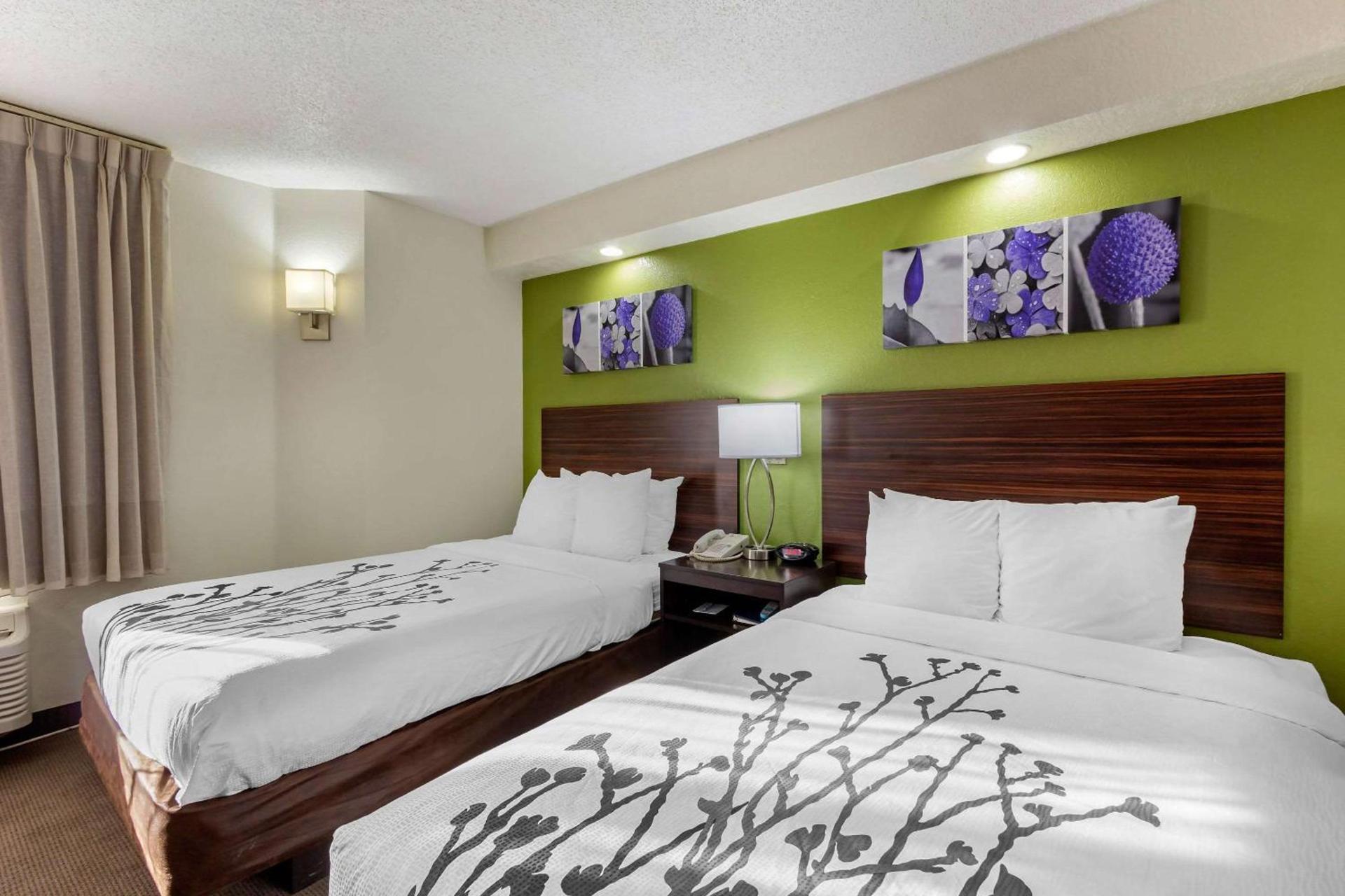 Sleep Inn near Busch Gardens - USF photo 9