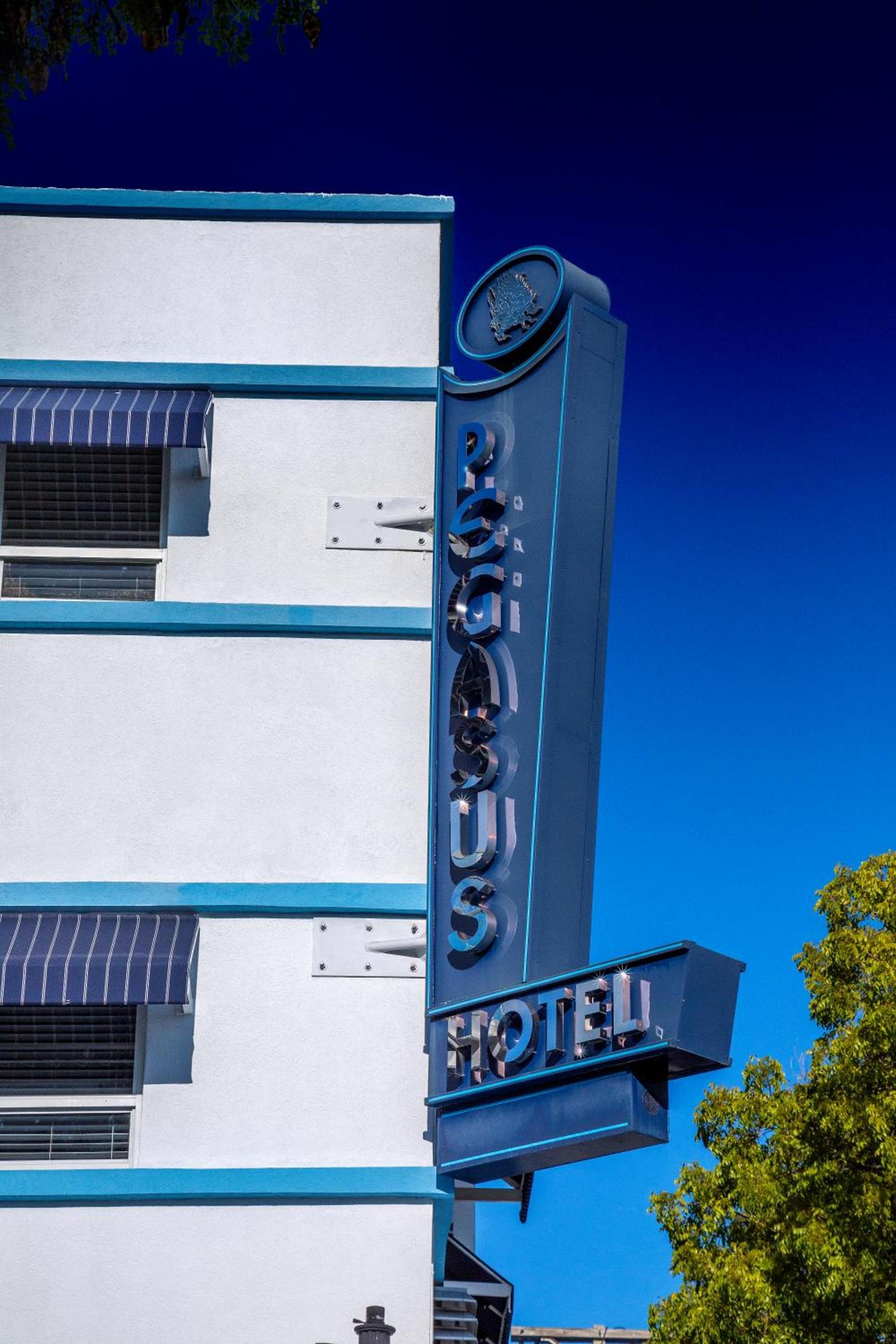 Pegasus International Hotel photo 23