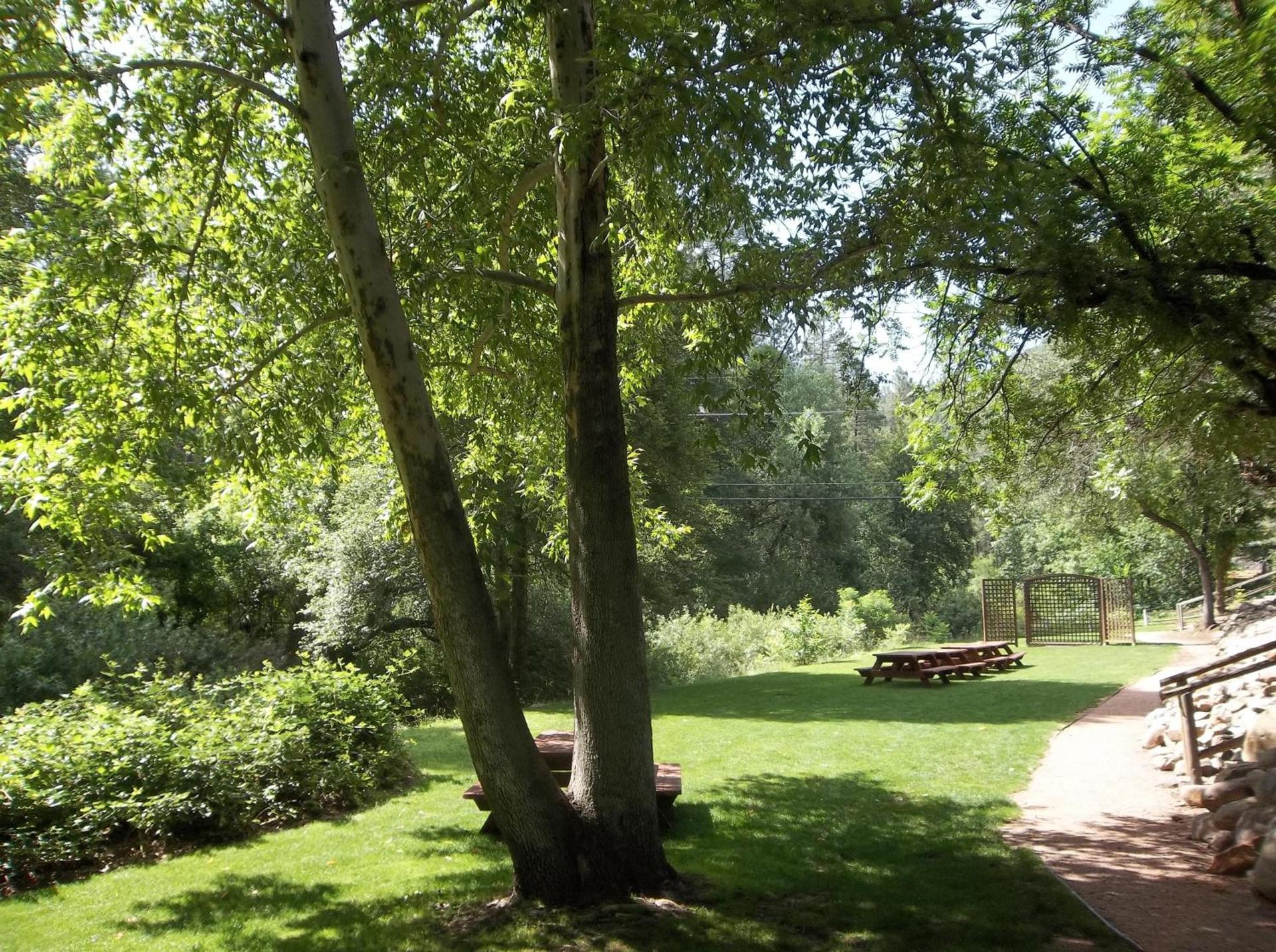 Kohl's Ranch Lodge photo 24