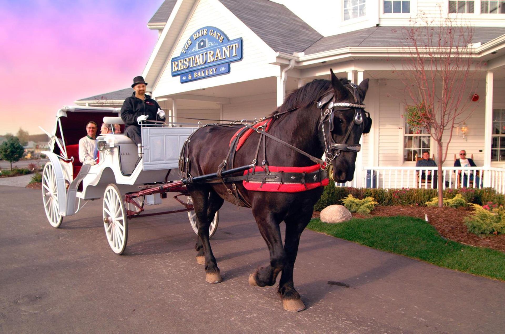 Blue Gate Garden Inn photo 16