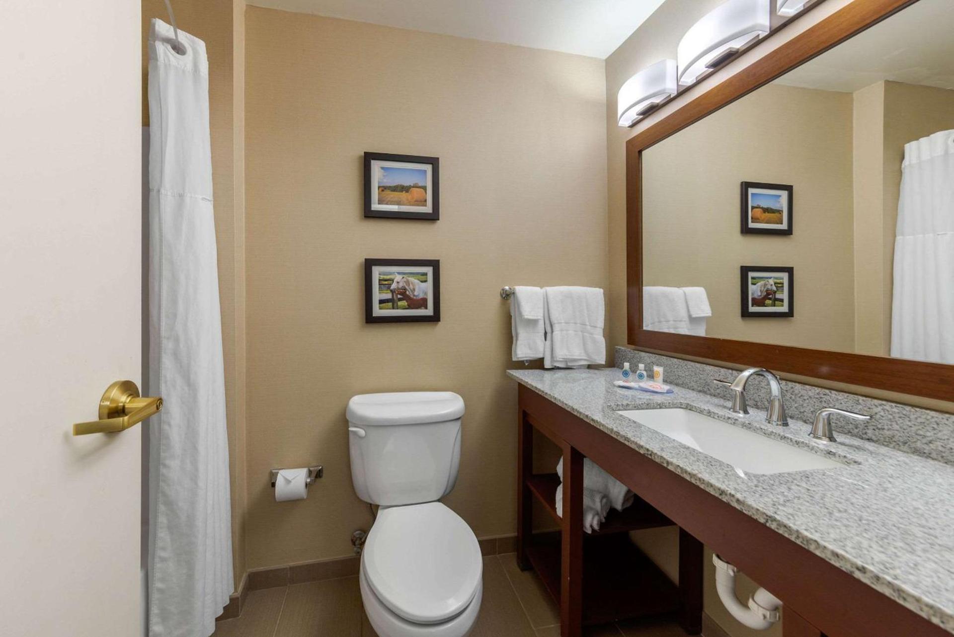 Comfort Inn & Suites Northern Kentucky photo 64