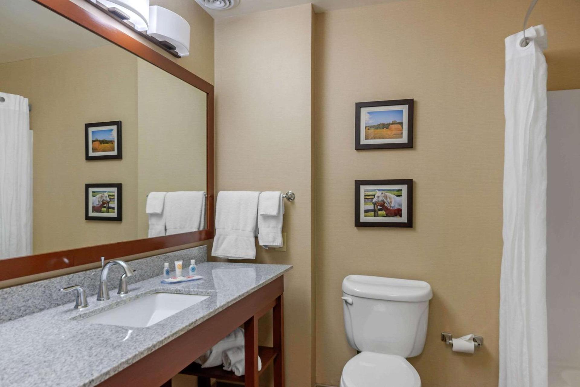 Comfort Inn & Suites Northern Kentucky photo 51