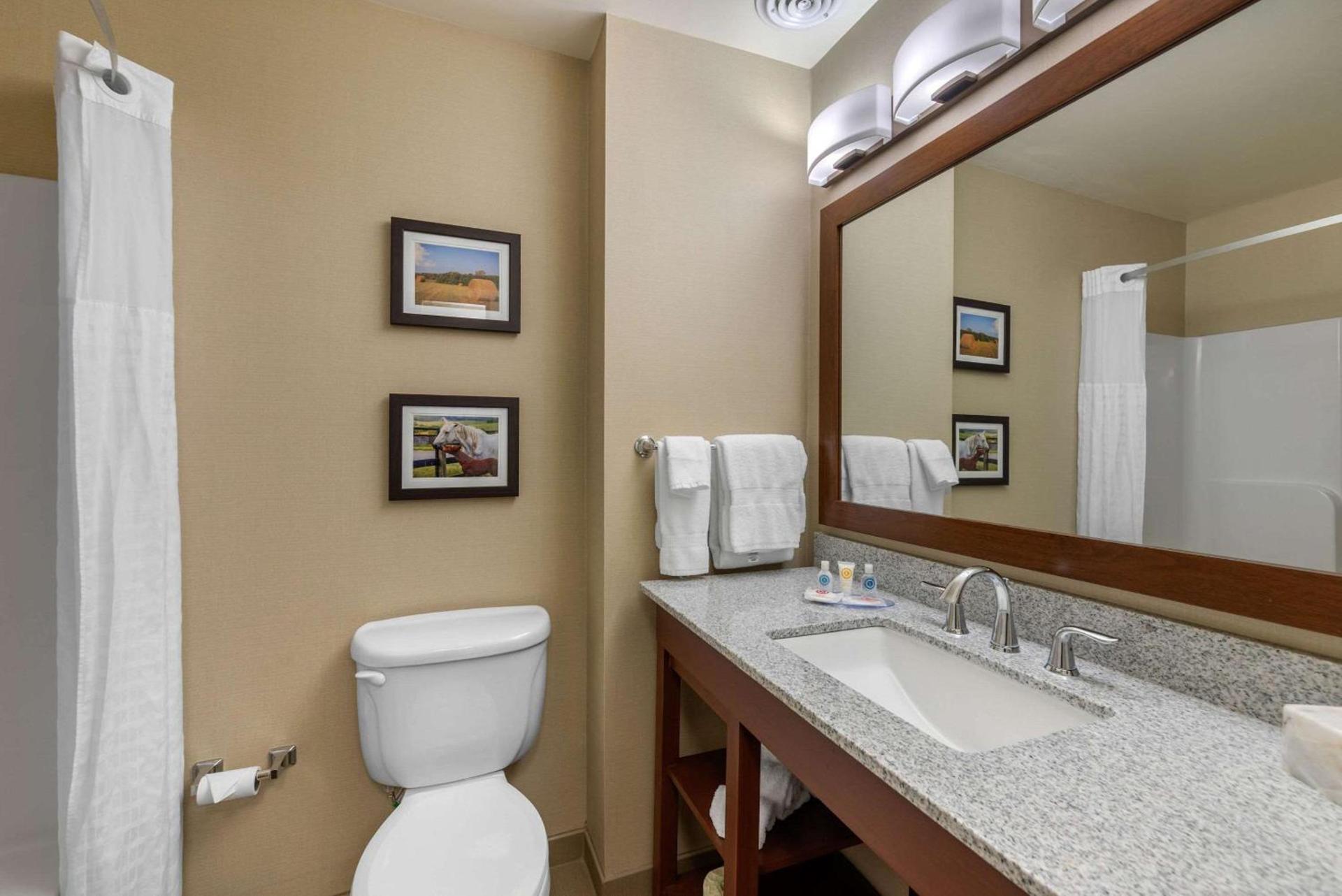Comfort Inn & Suites Northern Kentucky photo 49