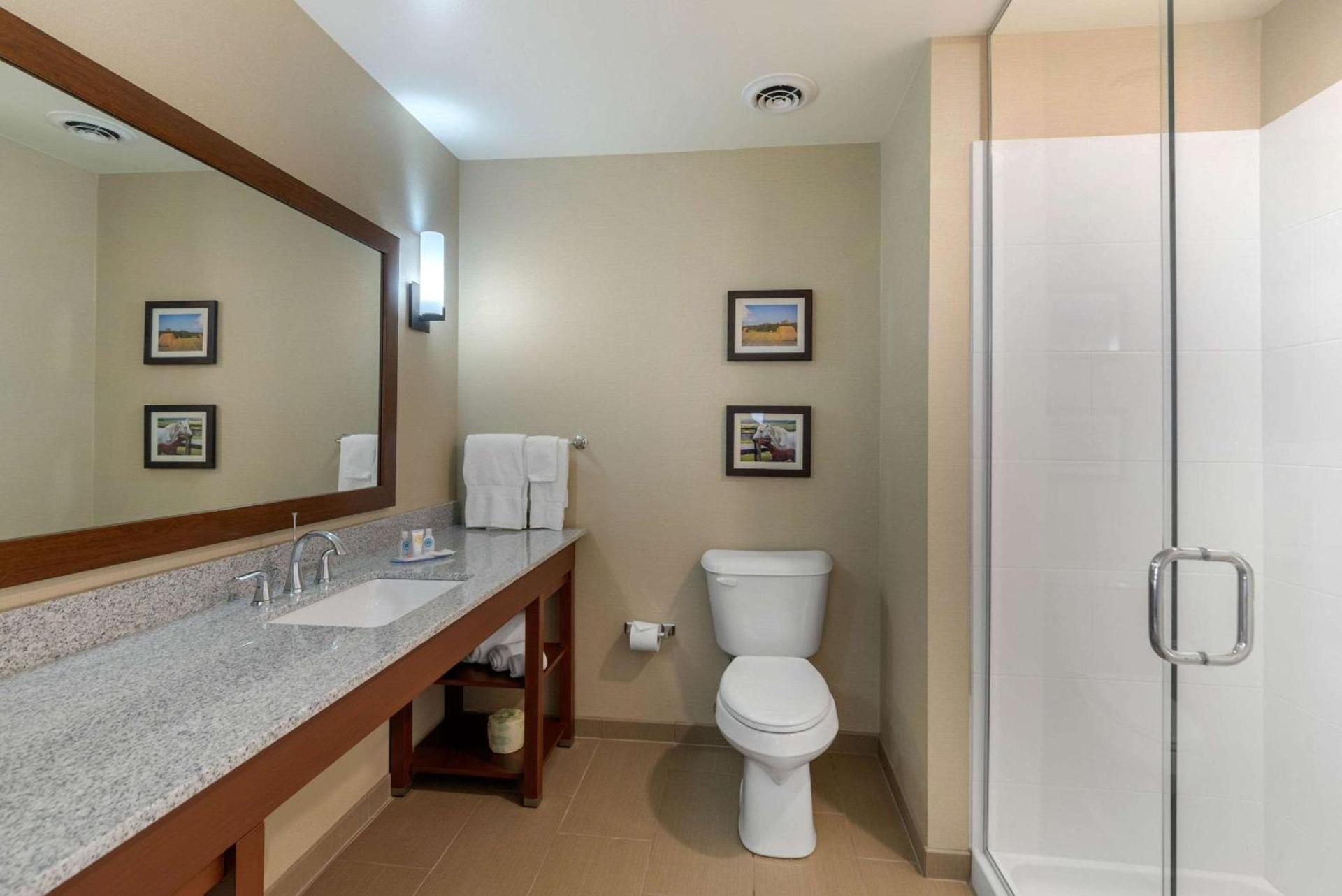 Comfort Inn & Suites Northern Kentucky photo 40
