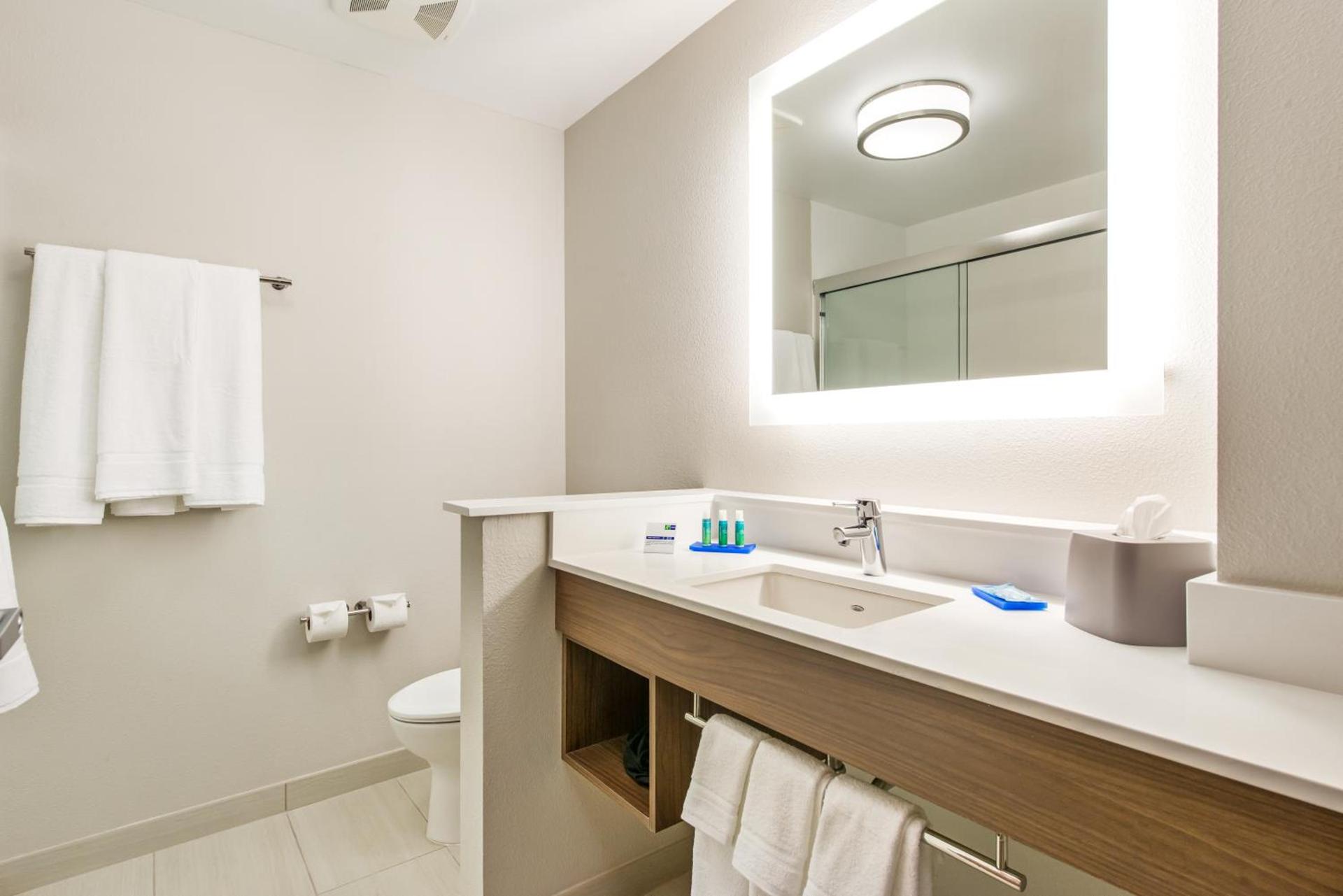 Holiday Inn Express & Suites - Carrollton West by IHG photo 8