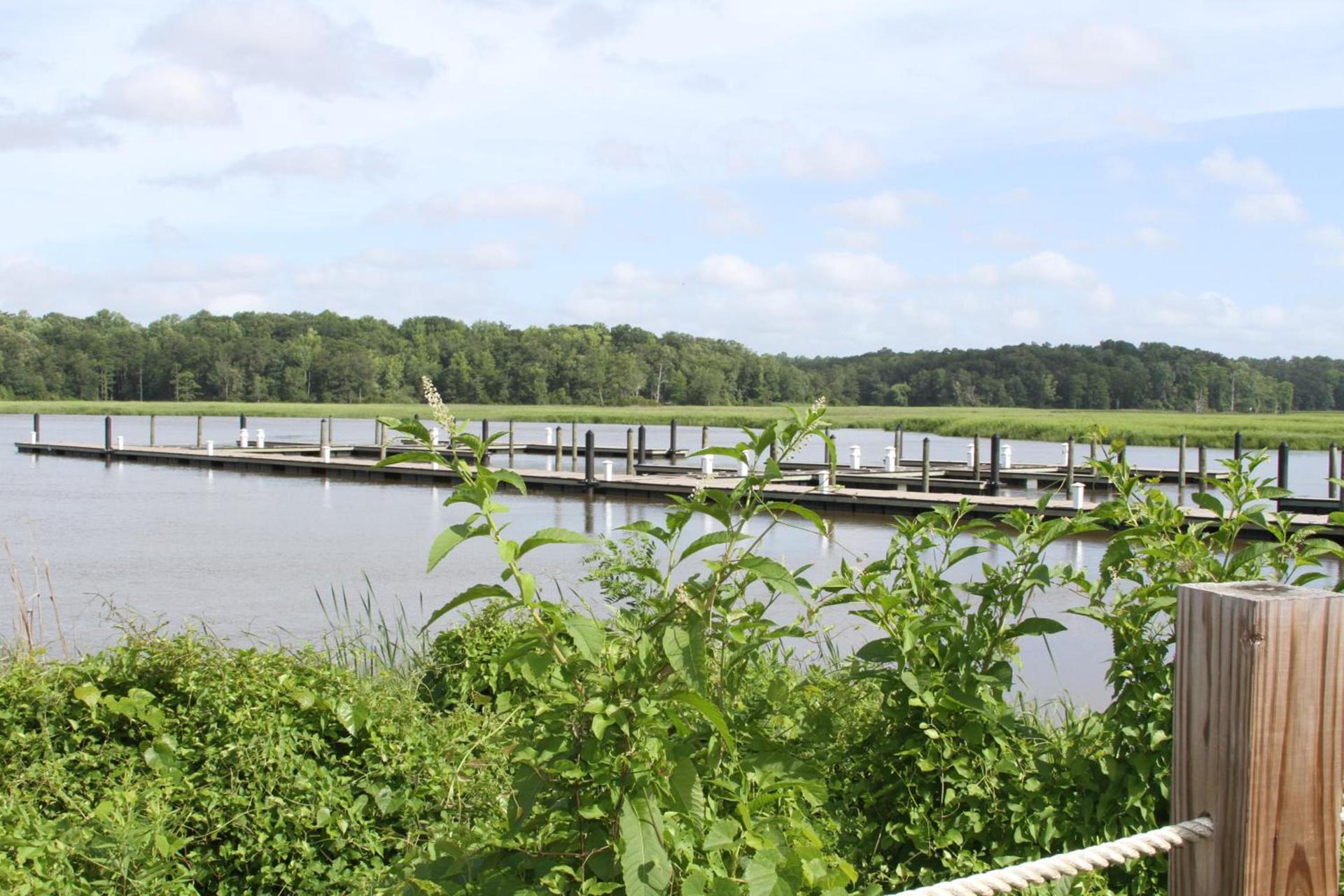 Surry Seafood Company photo 10