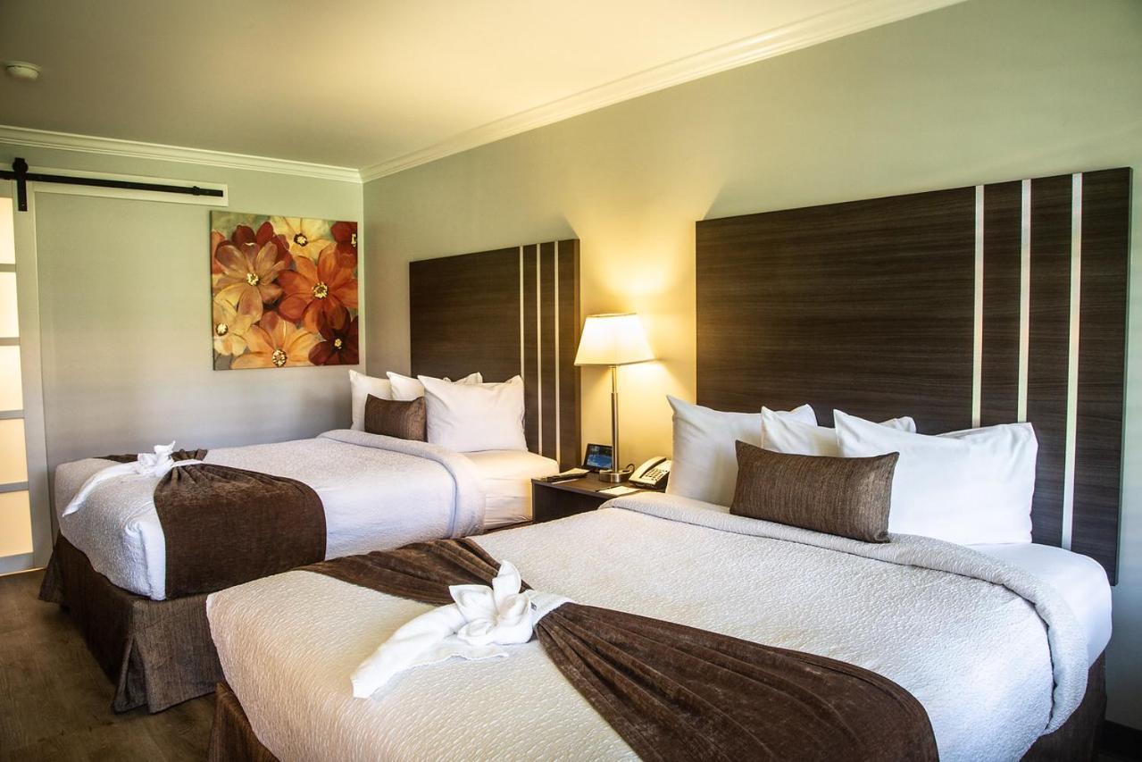 Palm Garden Hotel photo 6