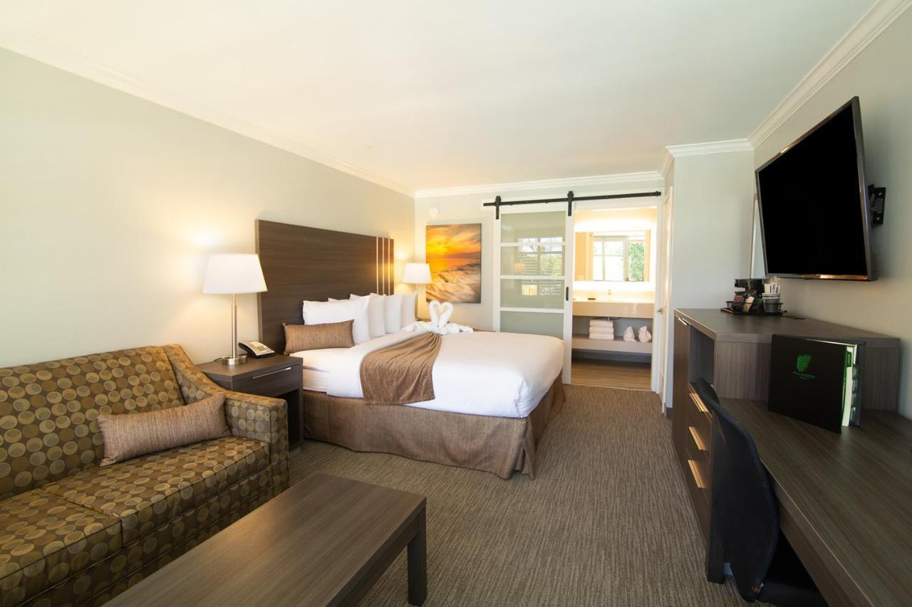 Palm Garden Hotel photo 7