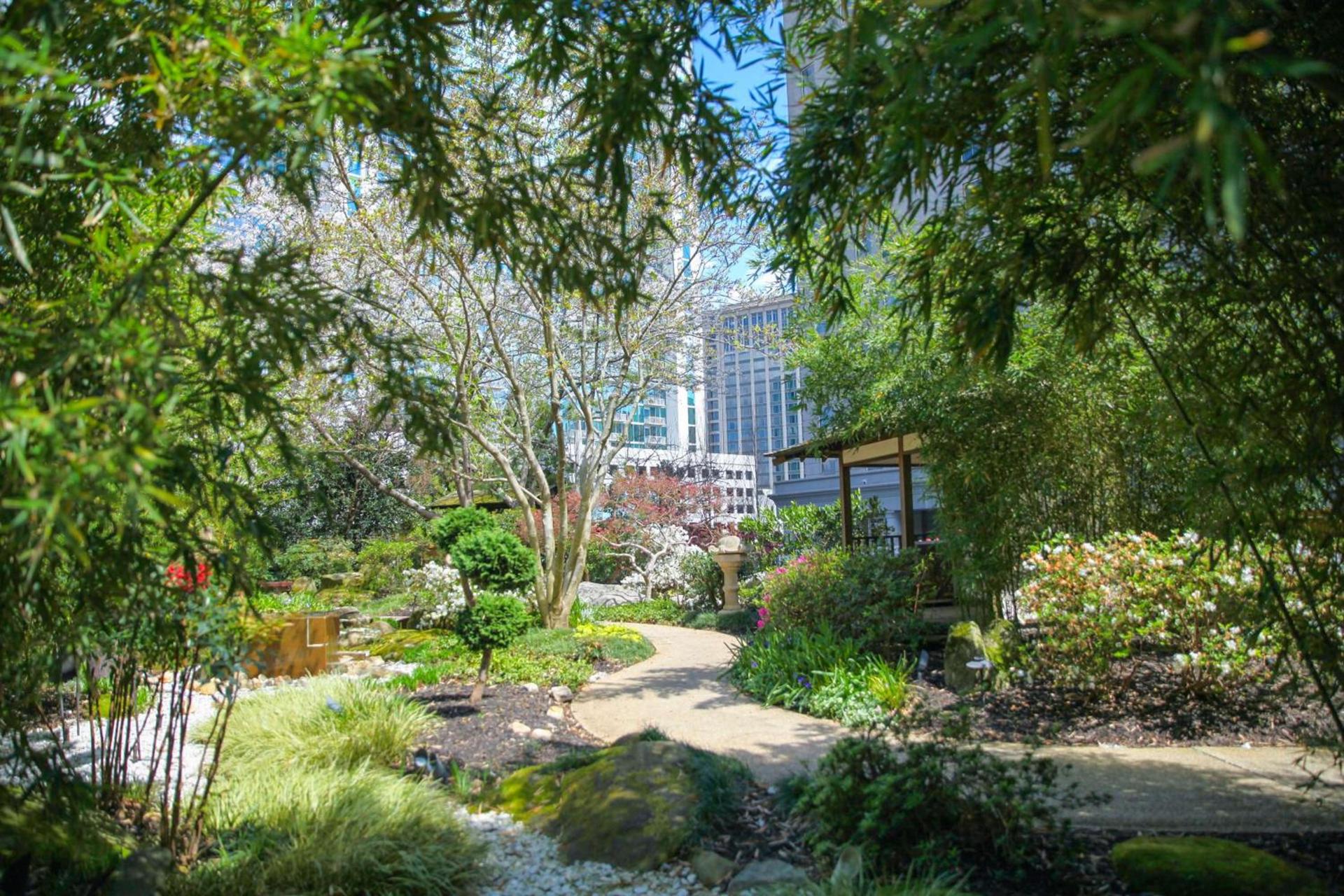 Grand Hyatt Atlanta in Buckhead photo 95