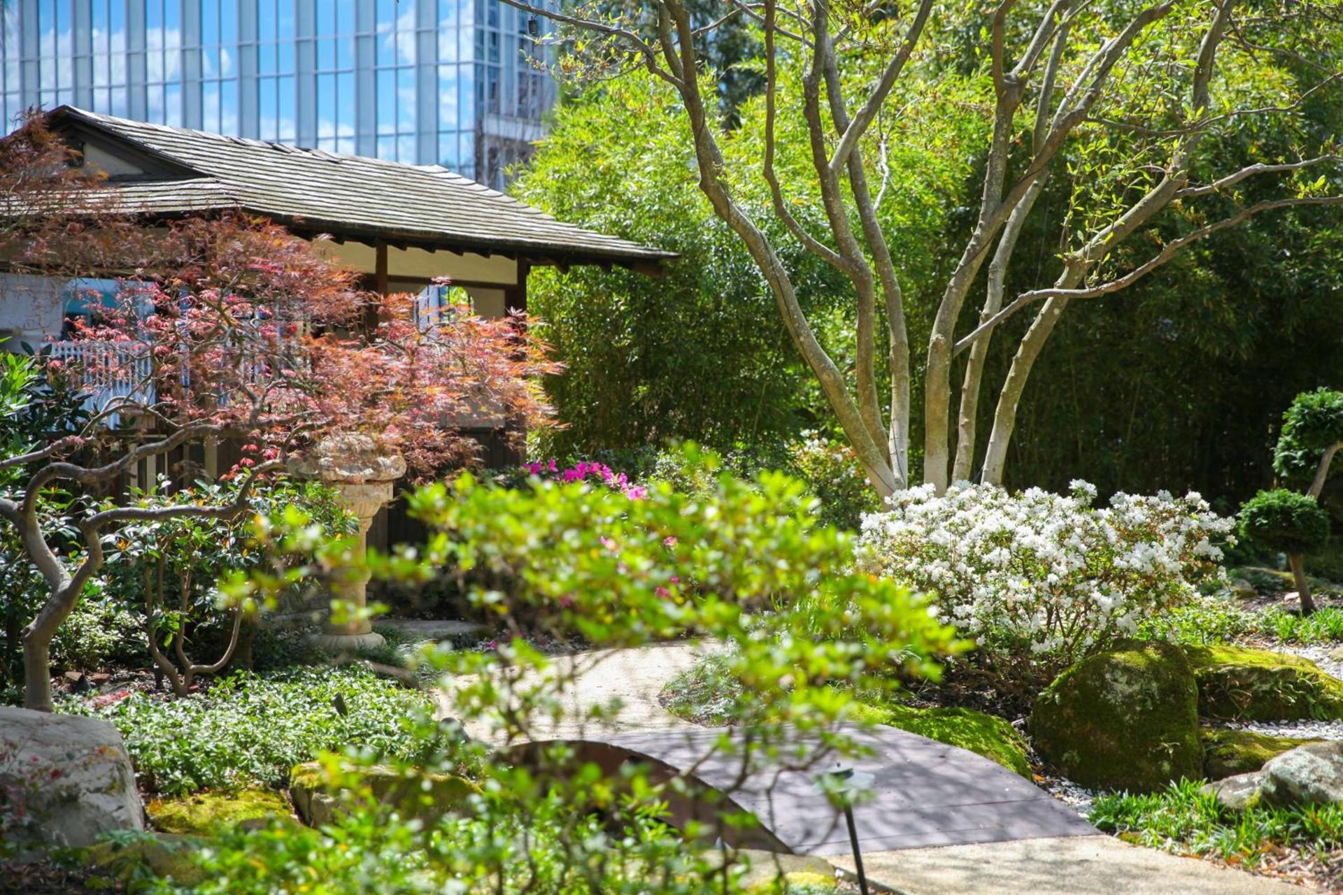 Grand Hyatt Atlanta in Buckhead photo 89