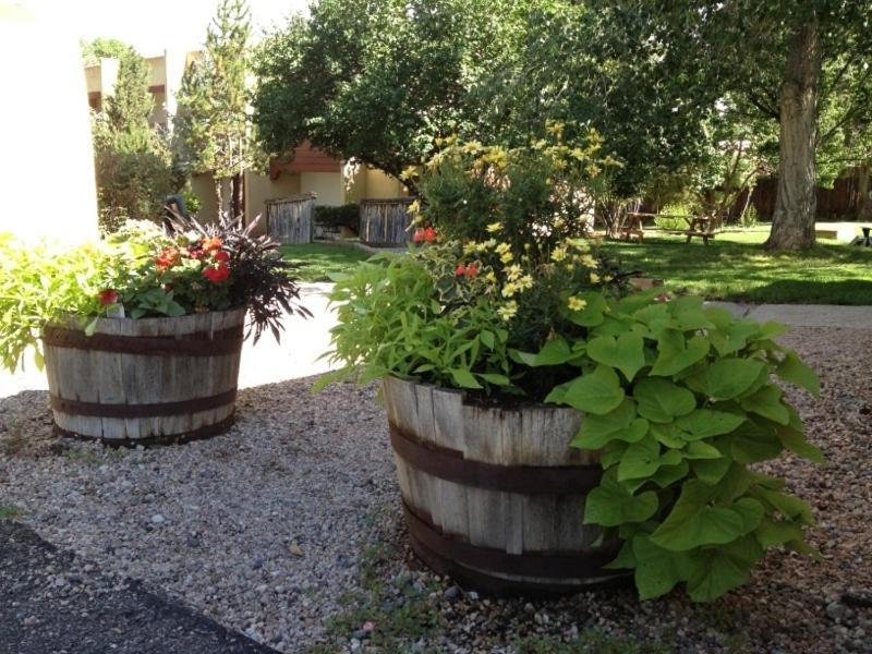 El Pueblo Lodge photo 23
