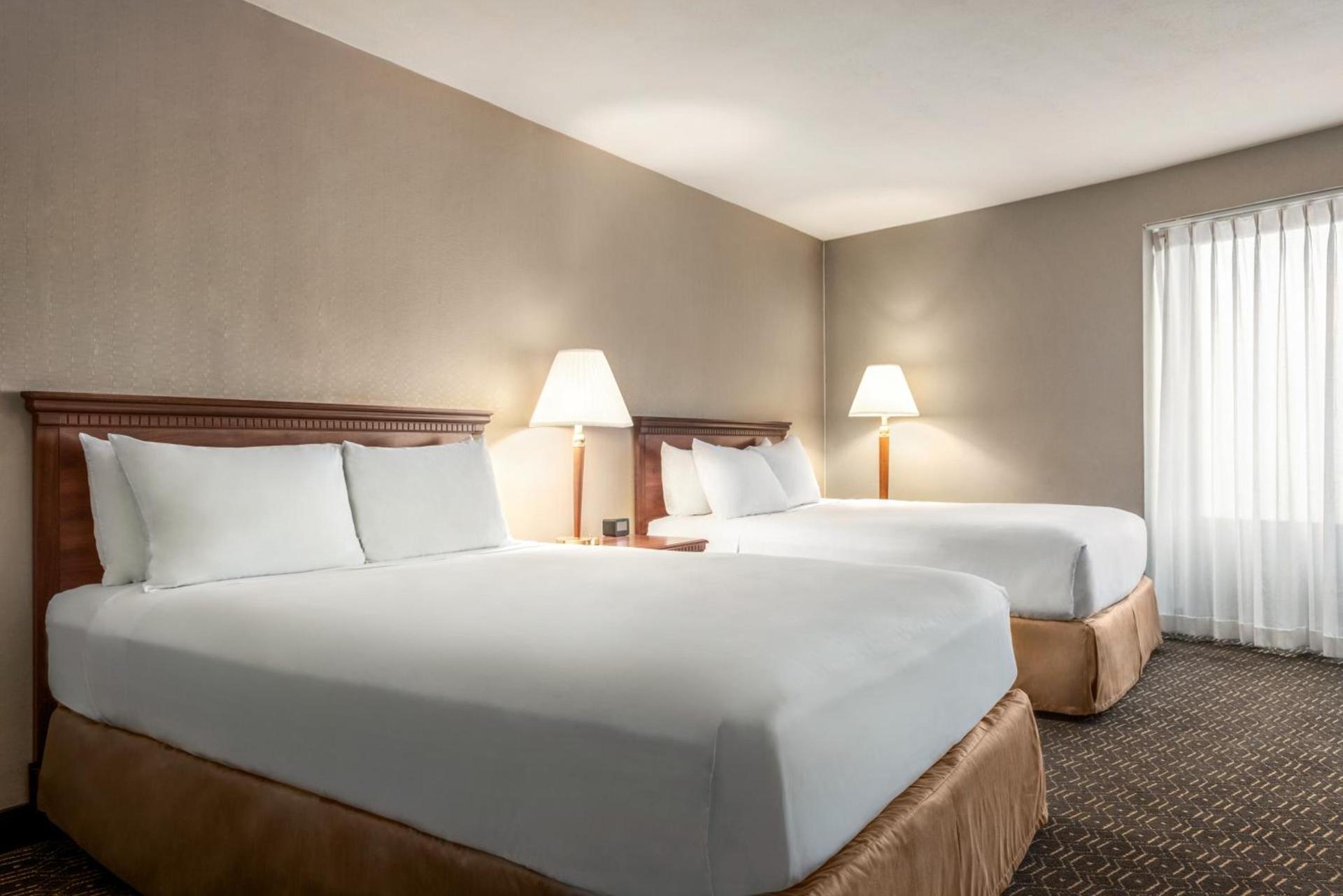 Wyndham Springfield City Centre photo 52