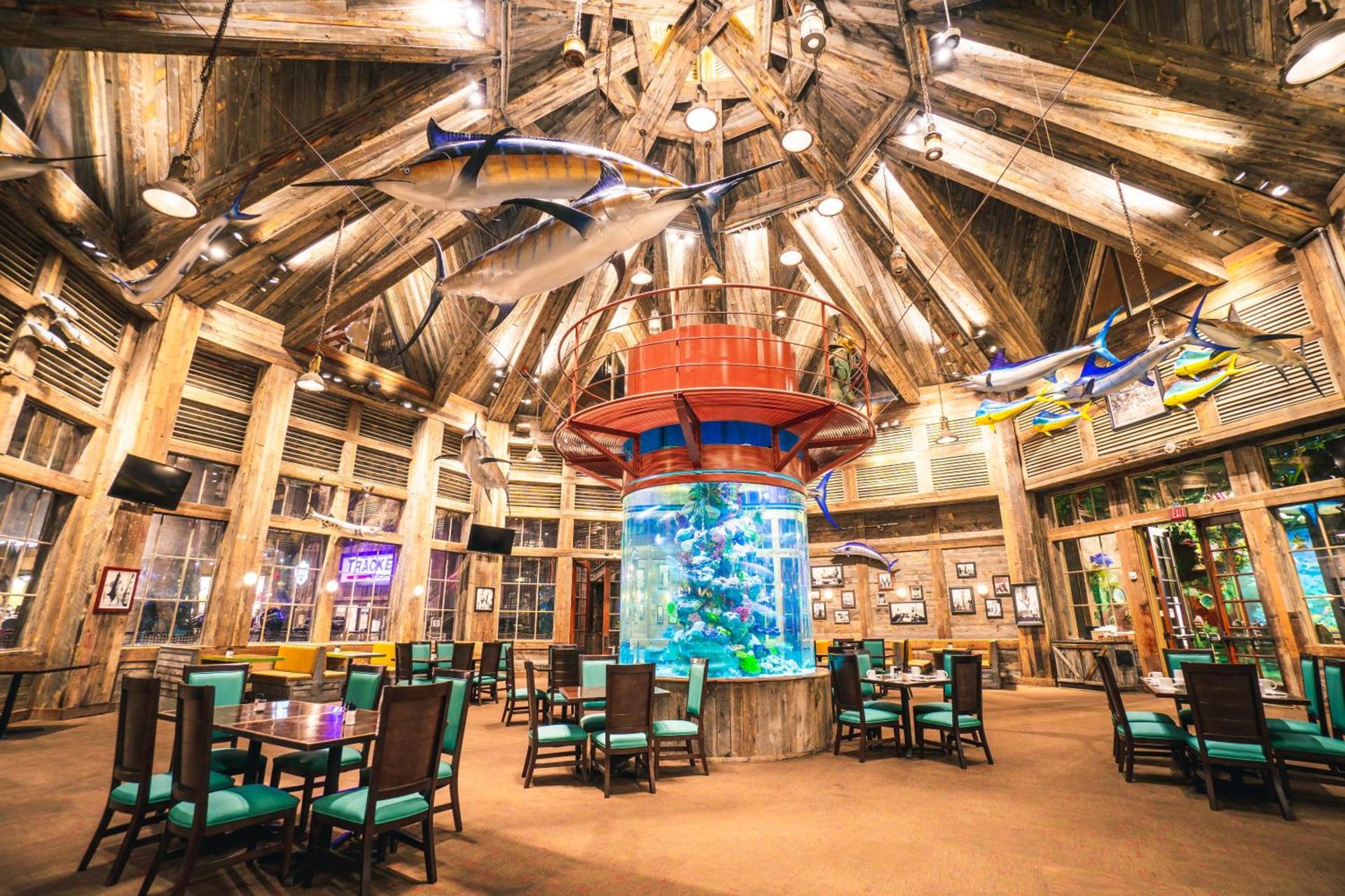 Big Cypress Lodge photo 16