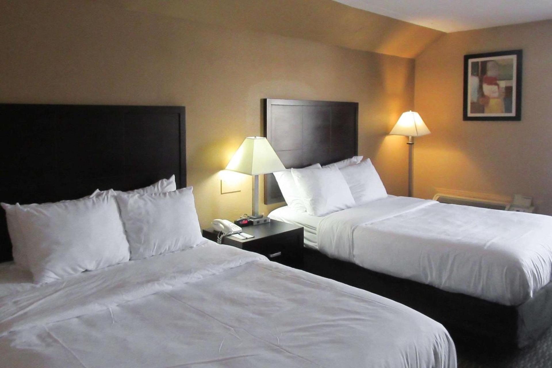 Quality Inn & Suites photo 11