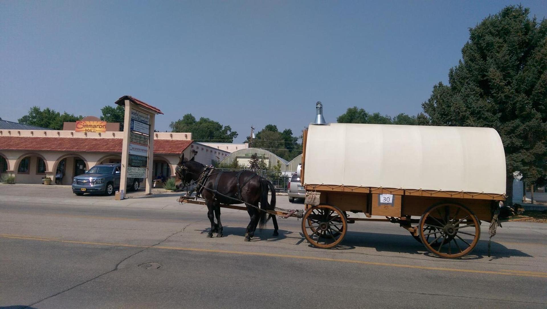 Big Horn Motel photo 10