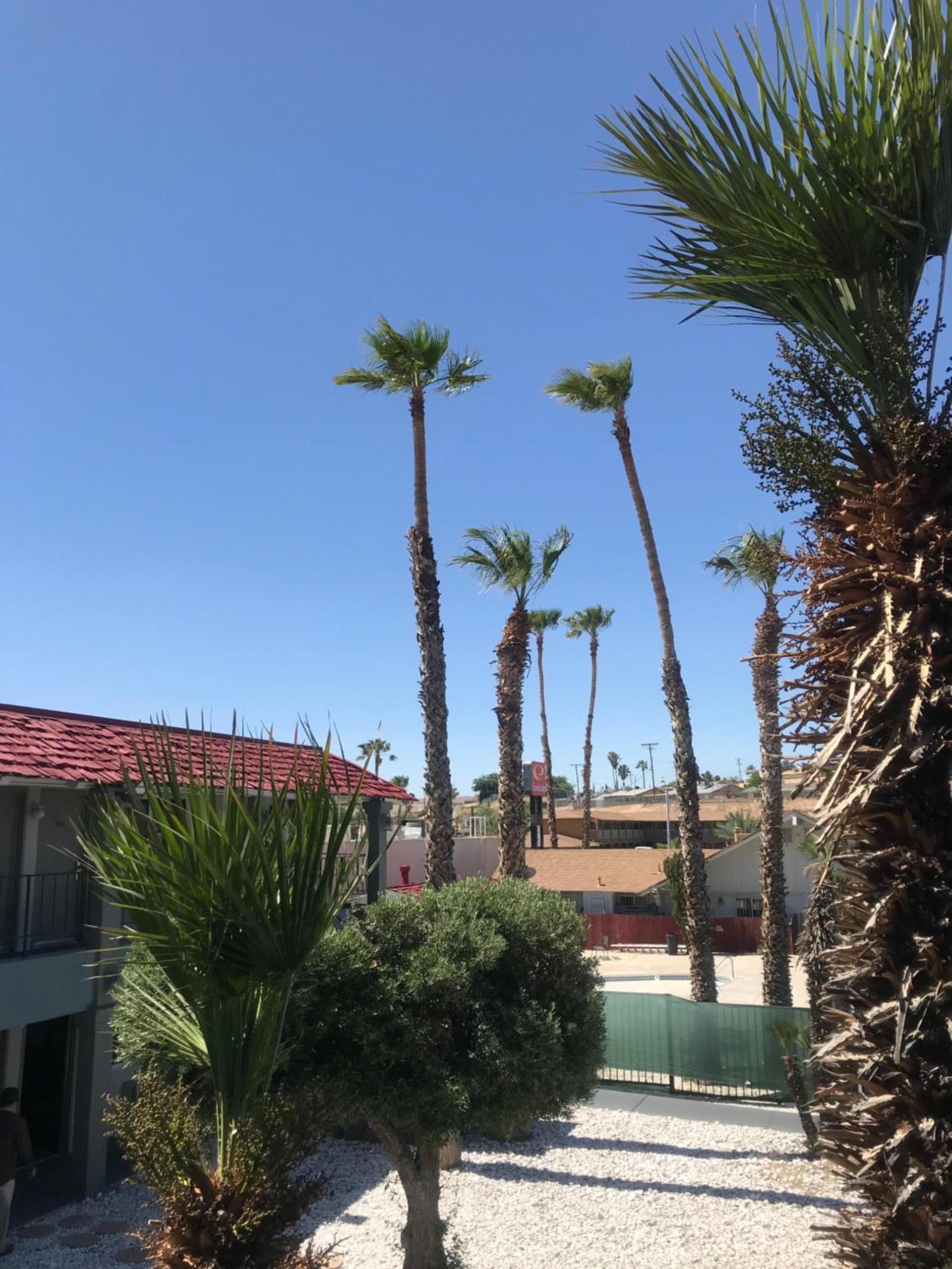 Economy Inn Barstow photo 19
