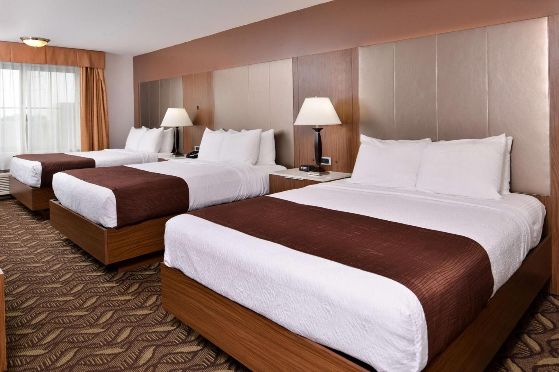Best Western Airport Plaza Hotel – LAX Airport LA Stadium photo 5
