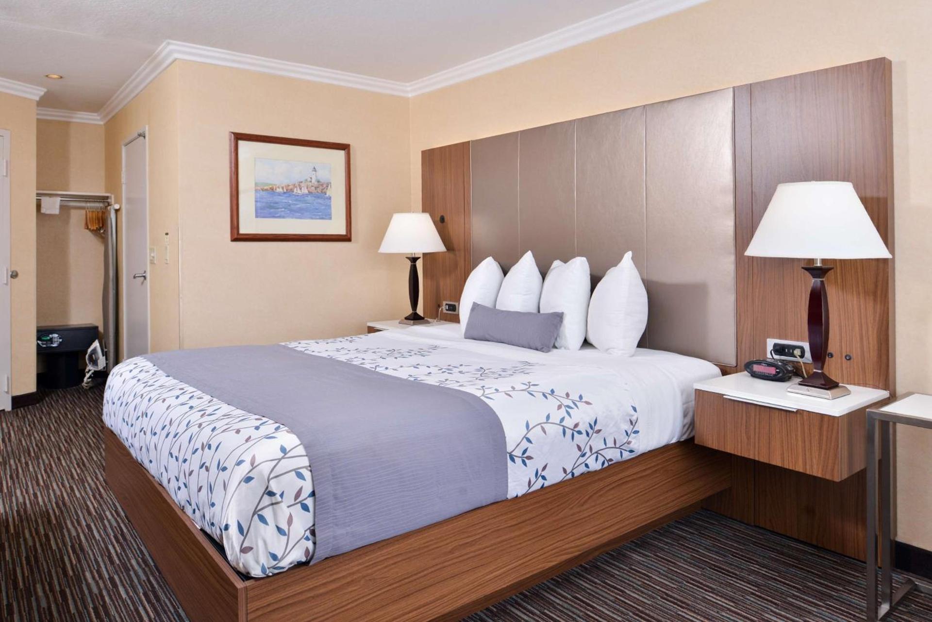 Best Western Airpark Hotel - LAX Airport LA Stadium photo 27
