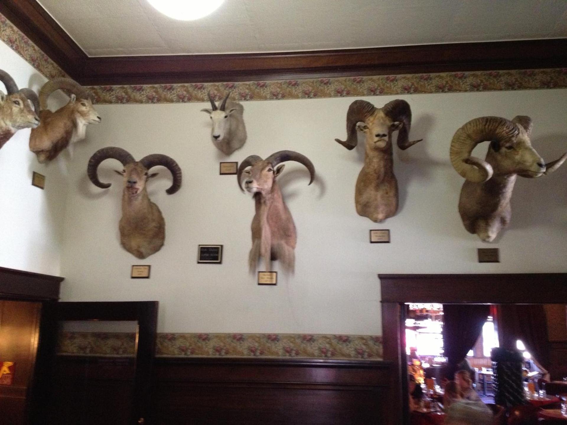 Irma Hotel photo 14