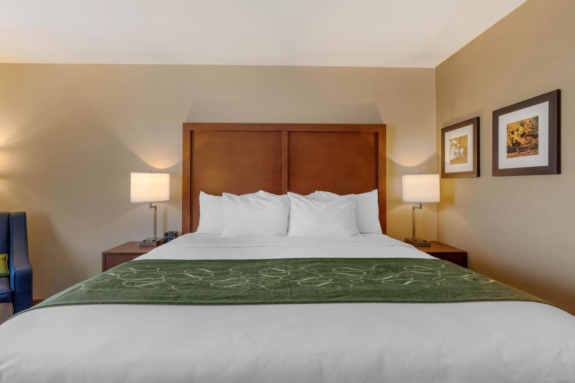 Comfort Inn & Suites Schenectady - Scotia photo 30