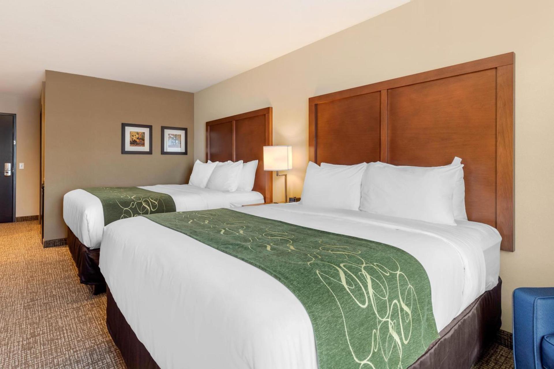 Comfort Inn & Suites Schenectady - Scotia photo 34