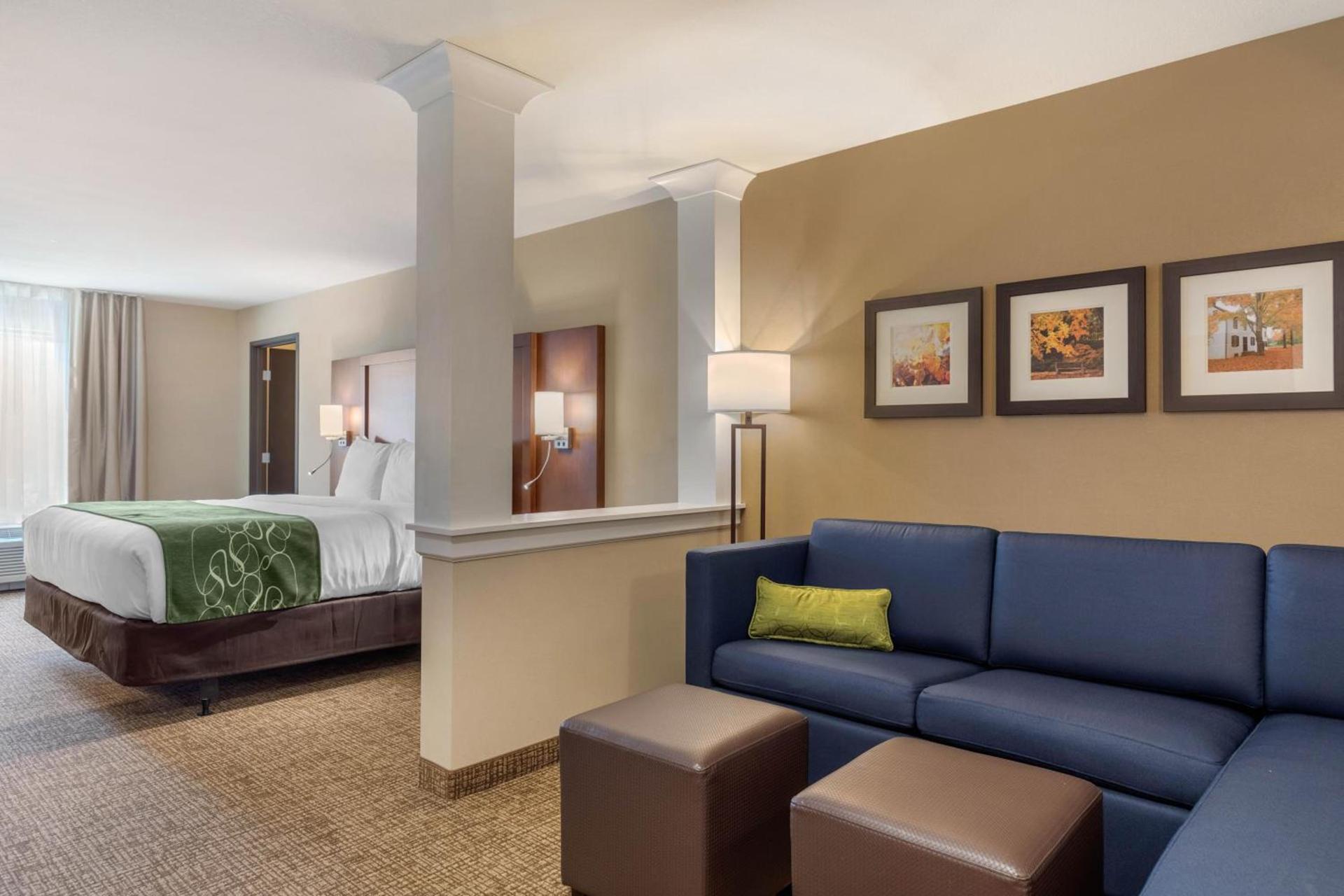 Comfort Inn & Suites Schenectady - Scotia photo 36