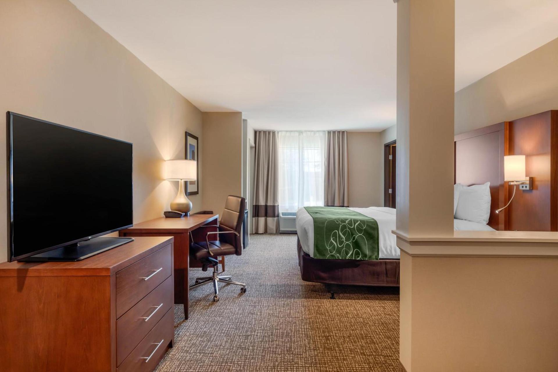Comfort Inn & Suites Schenectady - Scotia photo 39