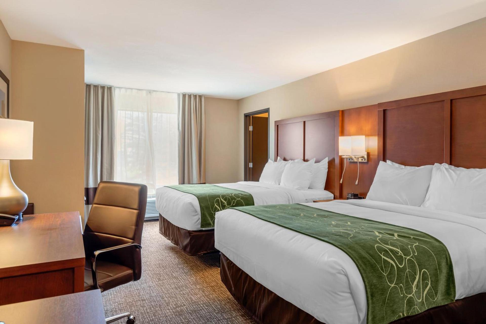 Comfort Inn & Suites Schenectady - Scotia photo 8