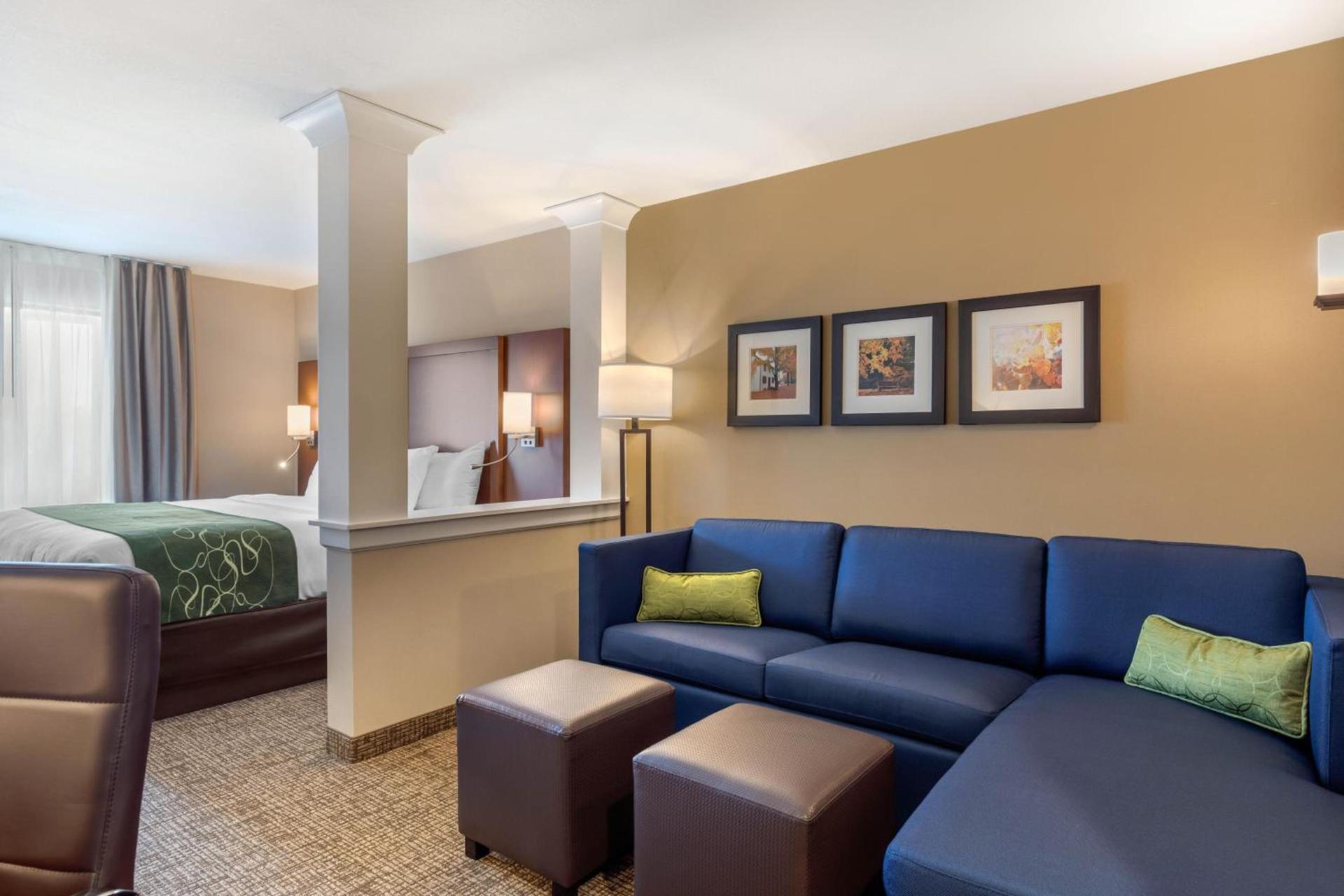 Comfort Inn & Suites Schenectady - Scotia photo 40