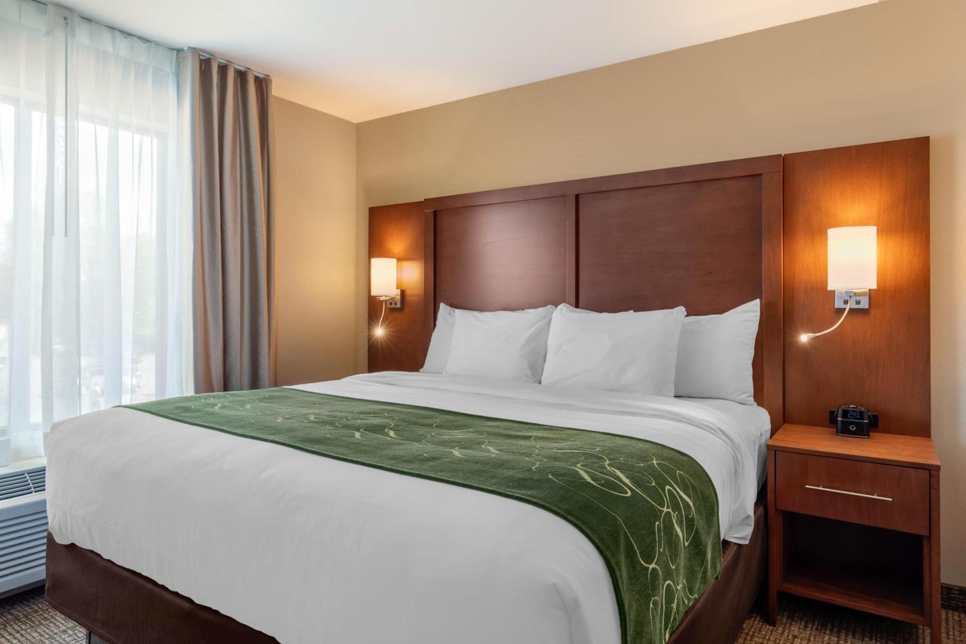 Comfort Inn & Suites Schenectady - Scotia photo 41