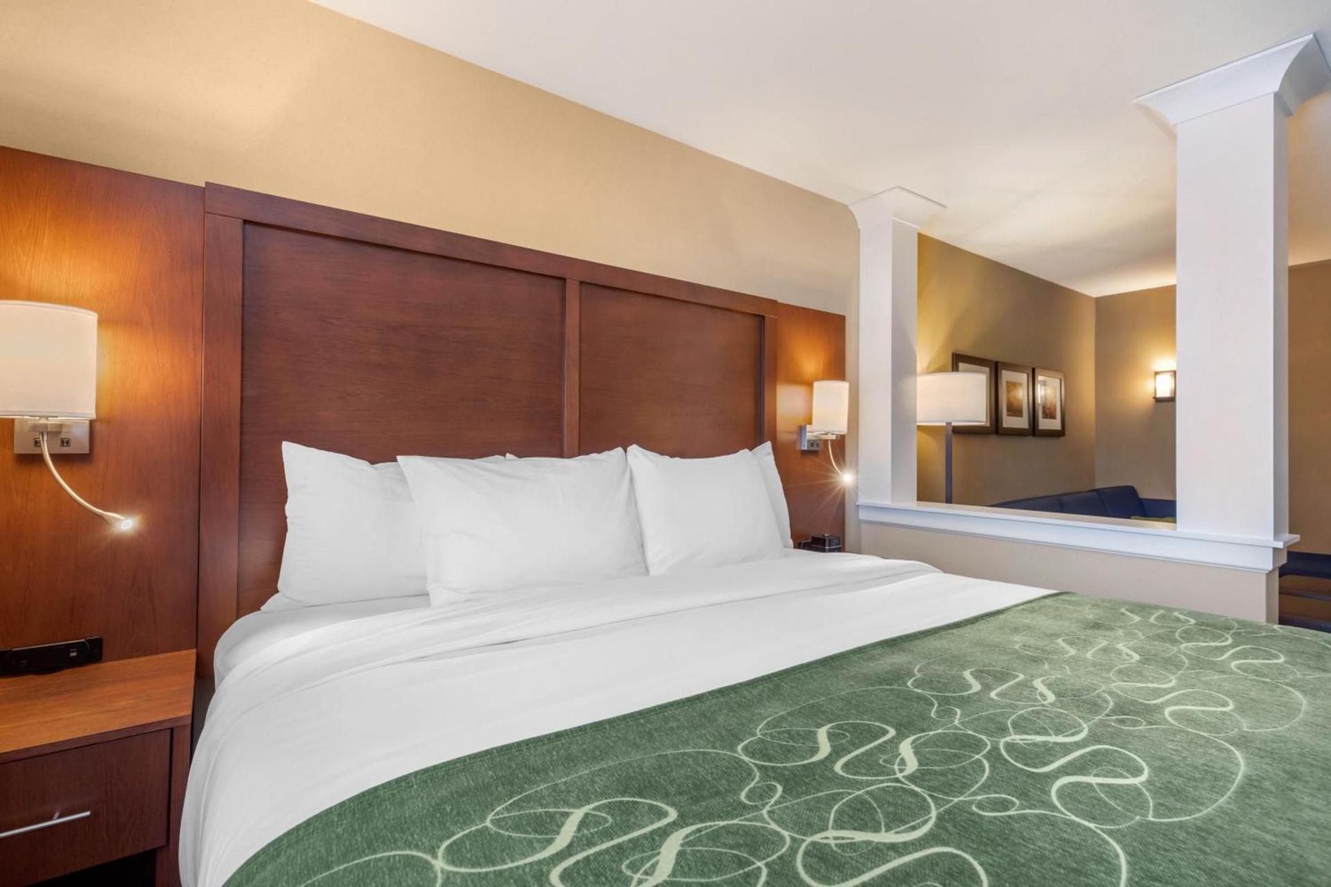 Comfort Inn & Suites Schenectady - Scotia photo 42