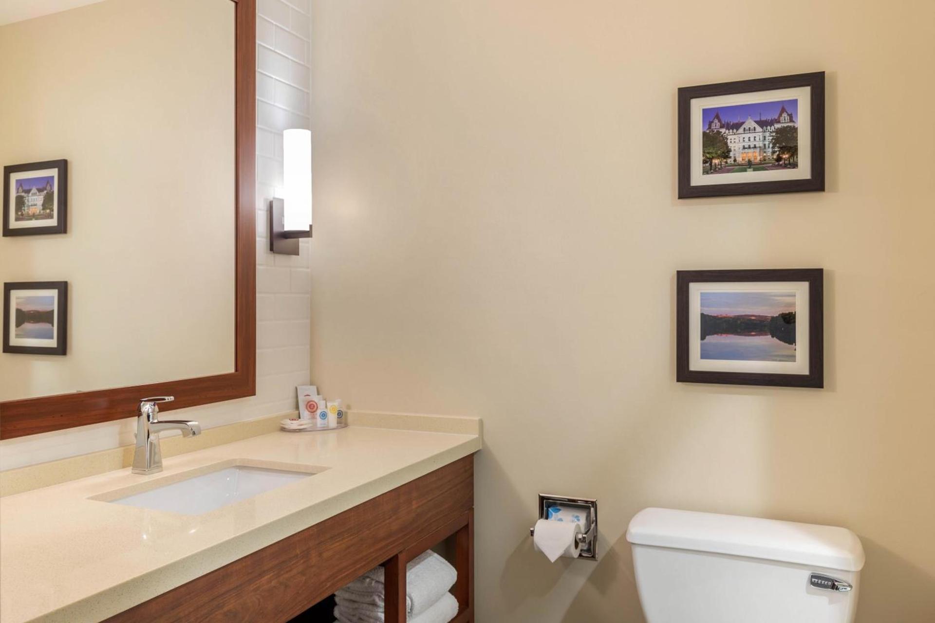 Comfort Inn & Suites Schenectady - Scotia photo 43