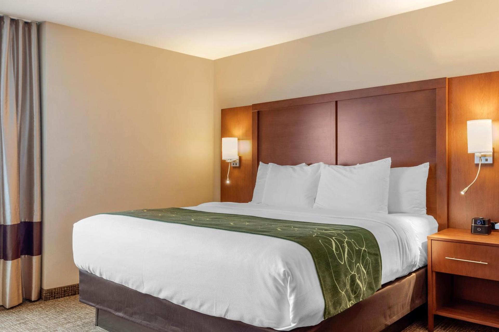 Comfort Inn & Suites Schenectady - Scotia photo 45