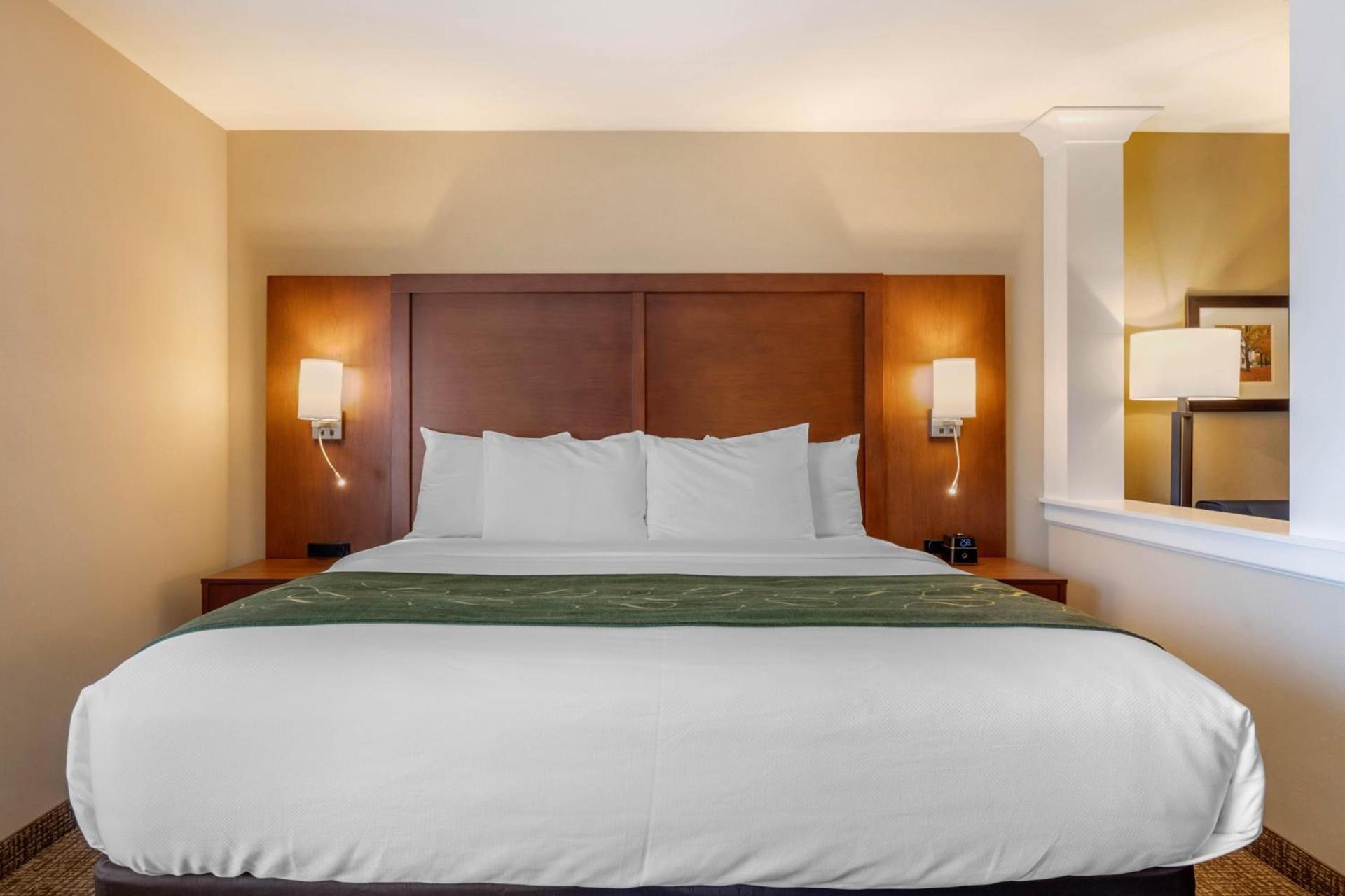 Comfort Inn & Suites Schenectady - Scotia photo 47