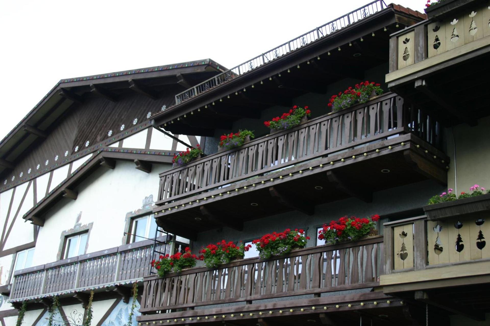 Der Sportsmann Suites photo 28