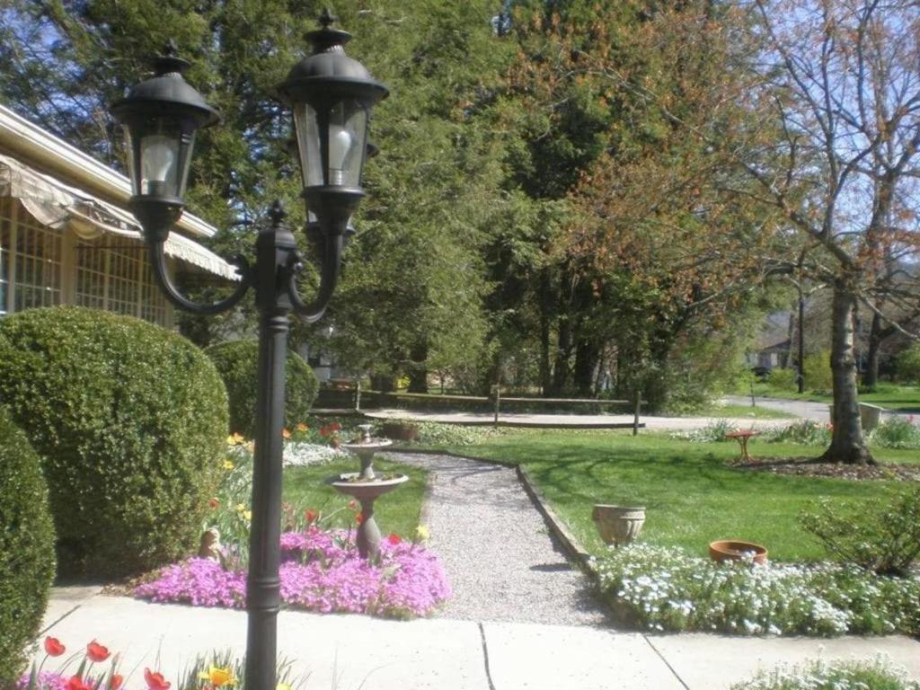 Red Rocker Inn photo 33