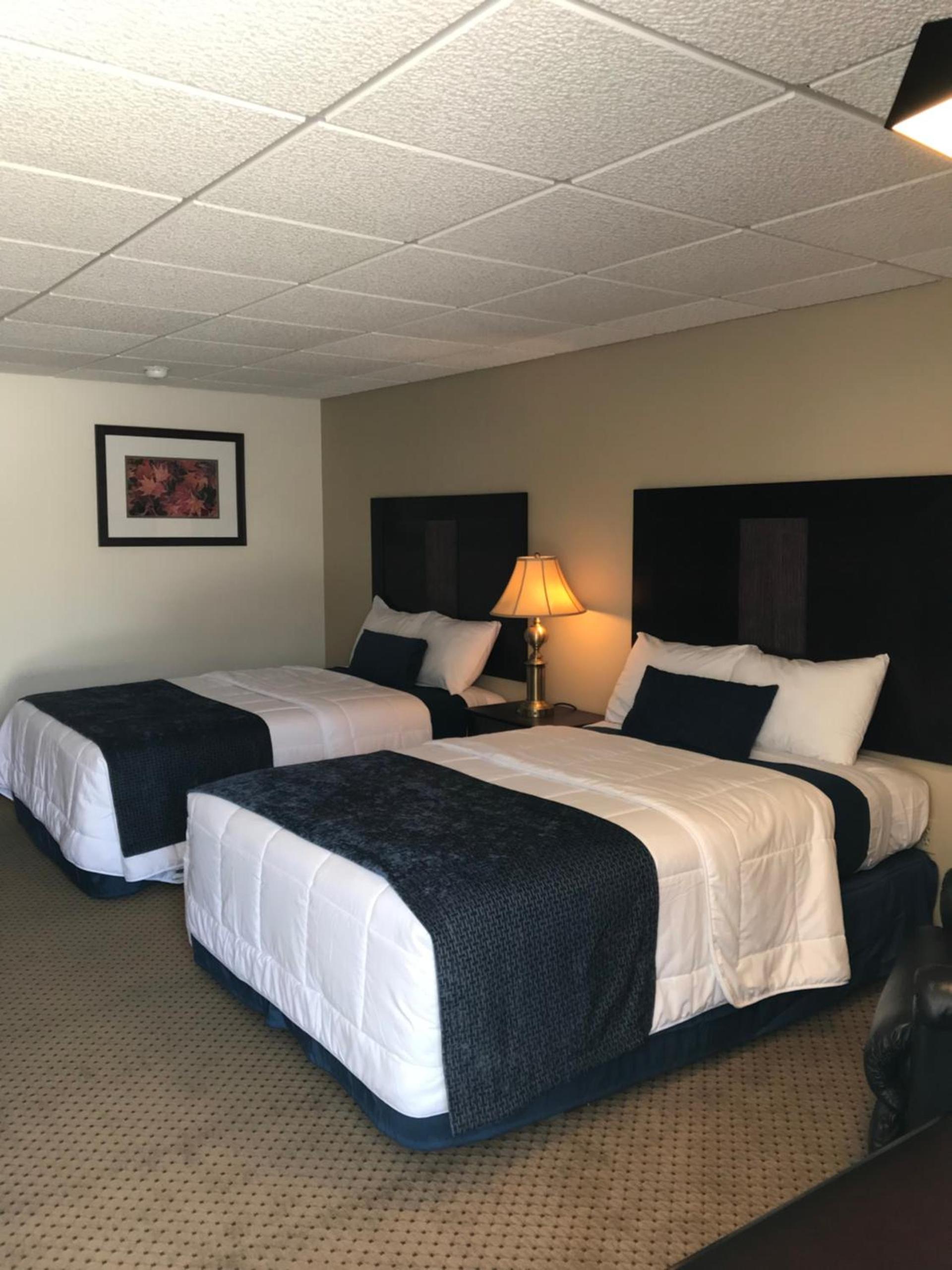 Brentwood Motor Inn photo 16