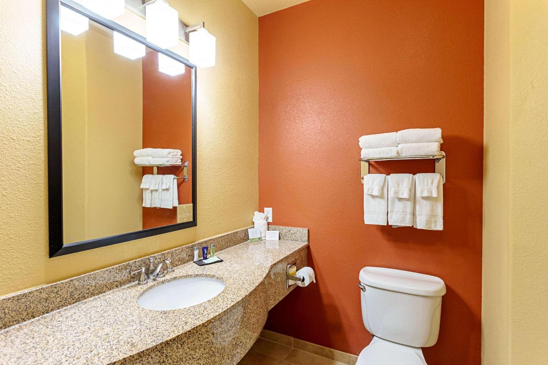Sleep Inn & Suites Tyler South photo 22