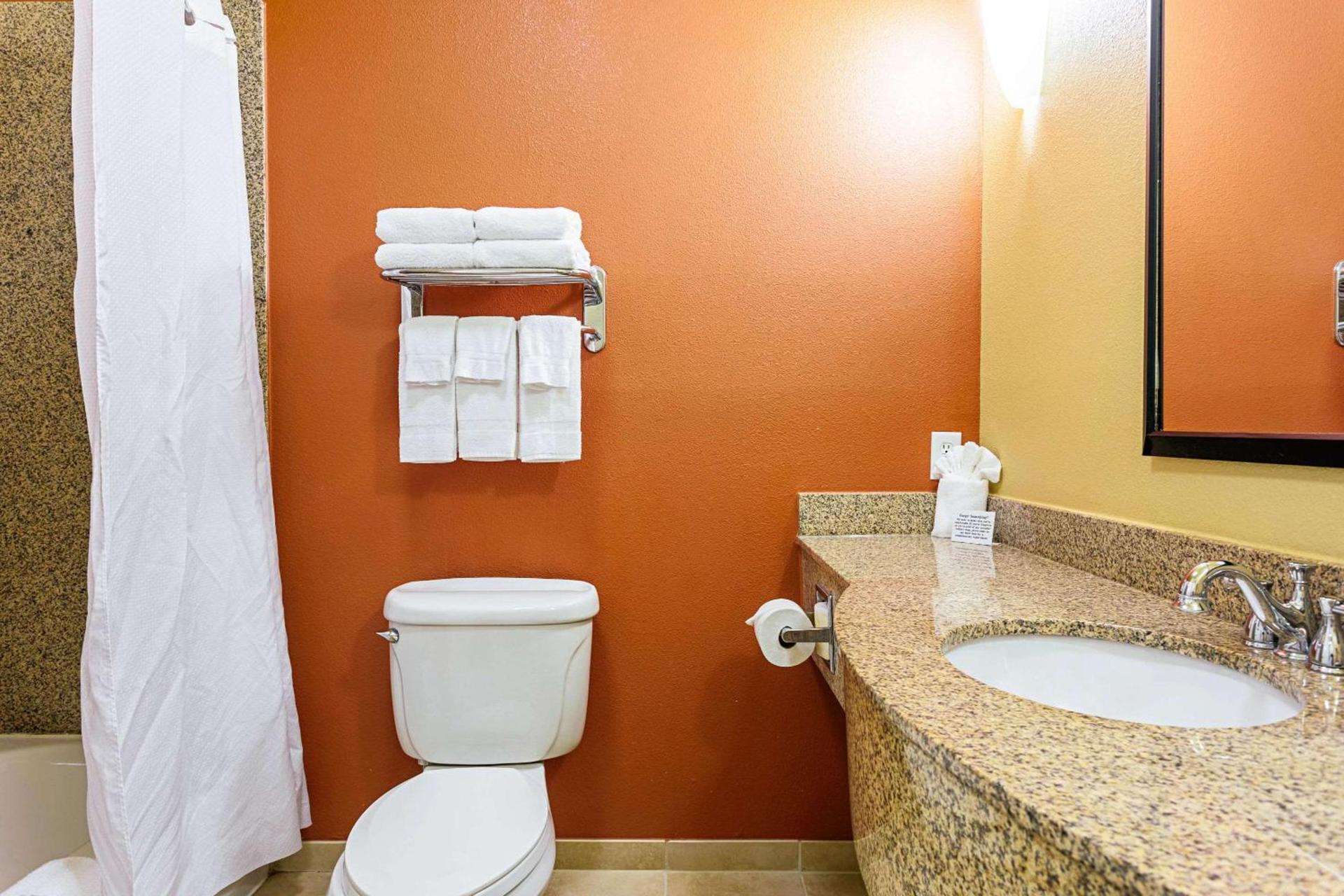 Sleep Inn & Suites Tyler South photo 23