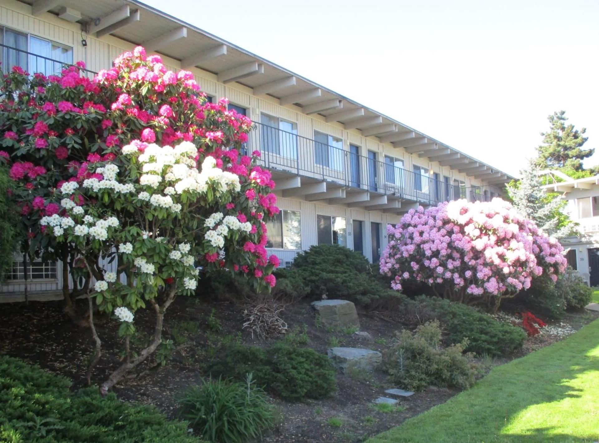 Cocusa Motel photo 9