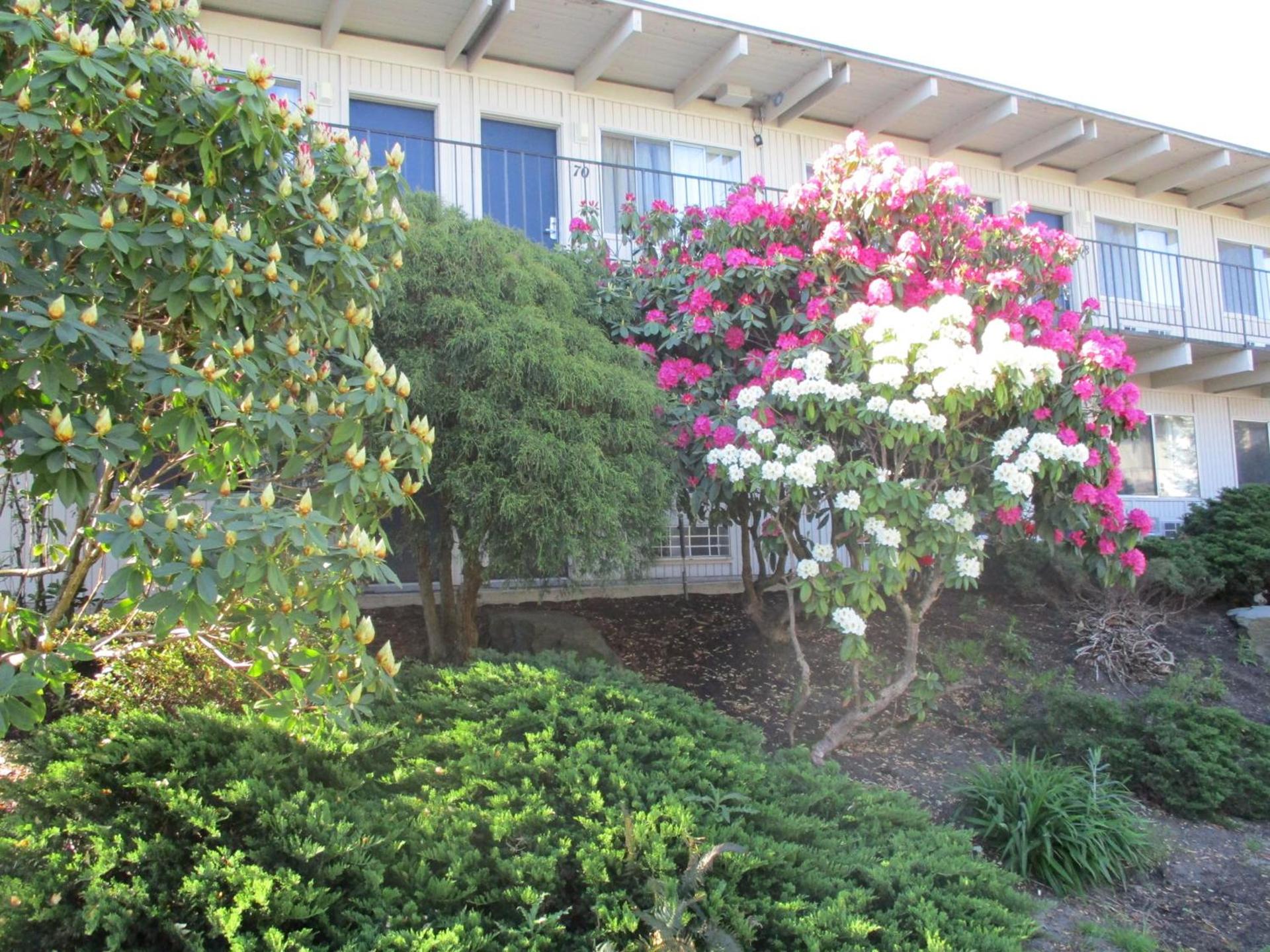 Cocusa Motel photo 5