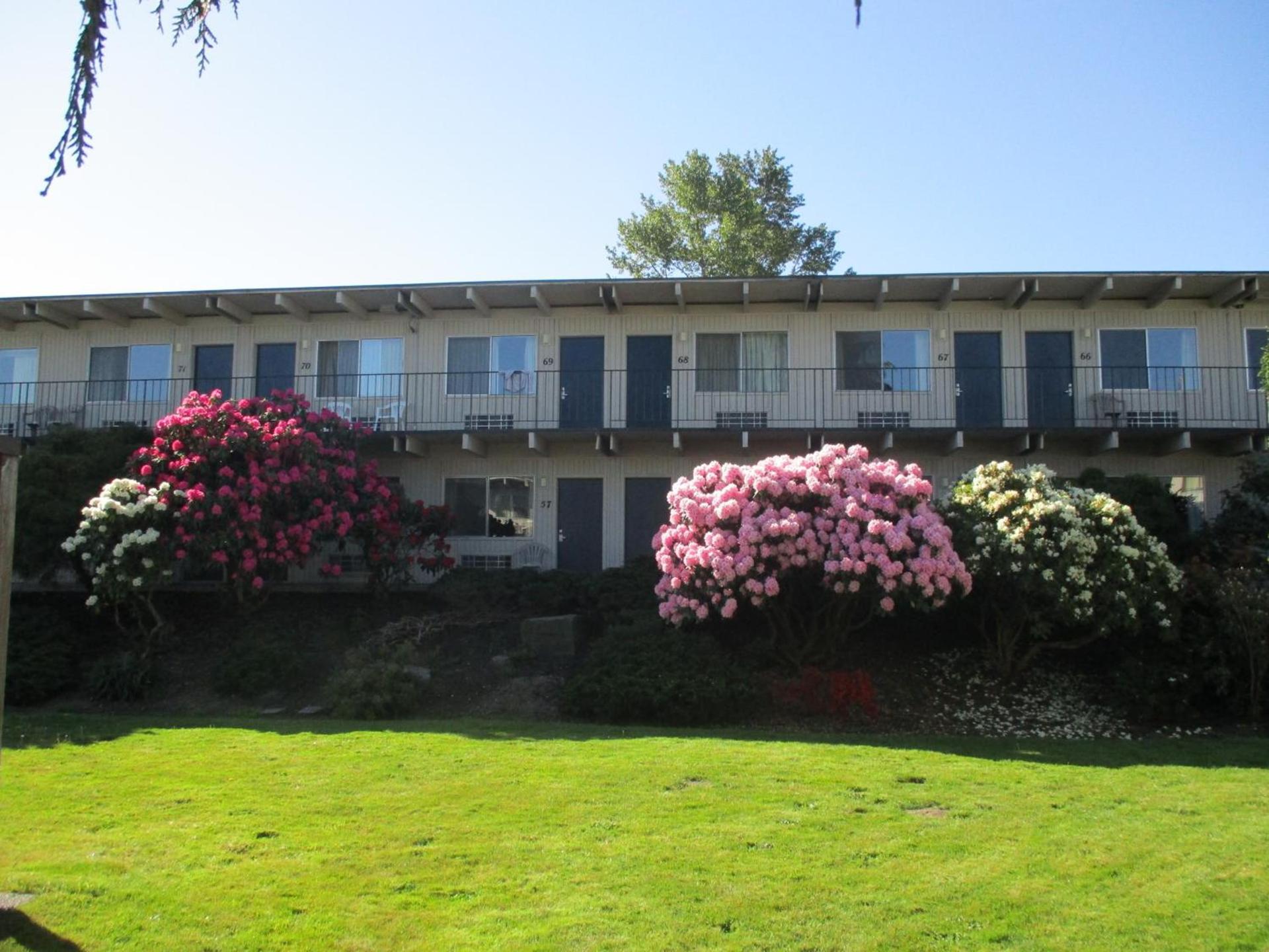 Cocusa Motel photo 6
